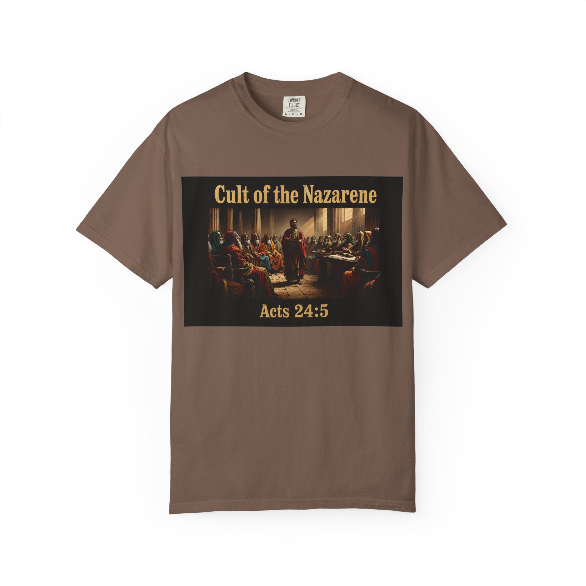 Acts 24:5 Unisex Comfort Dyed T-shirt