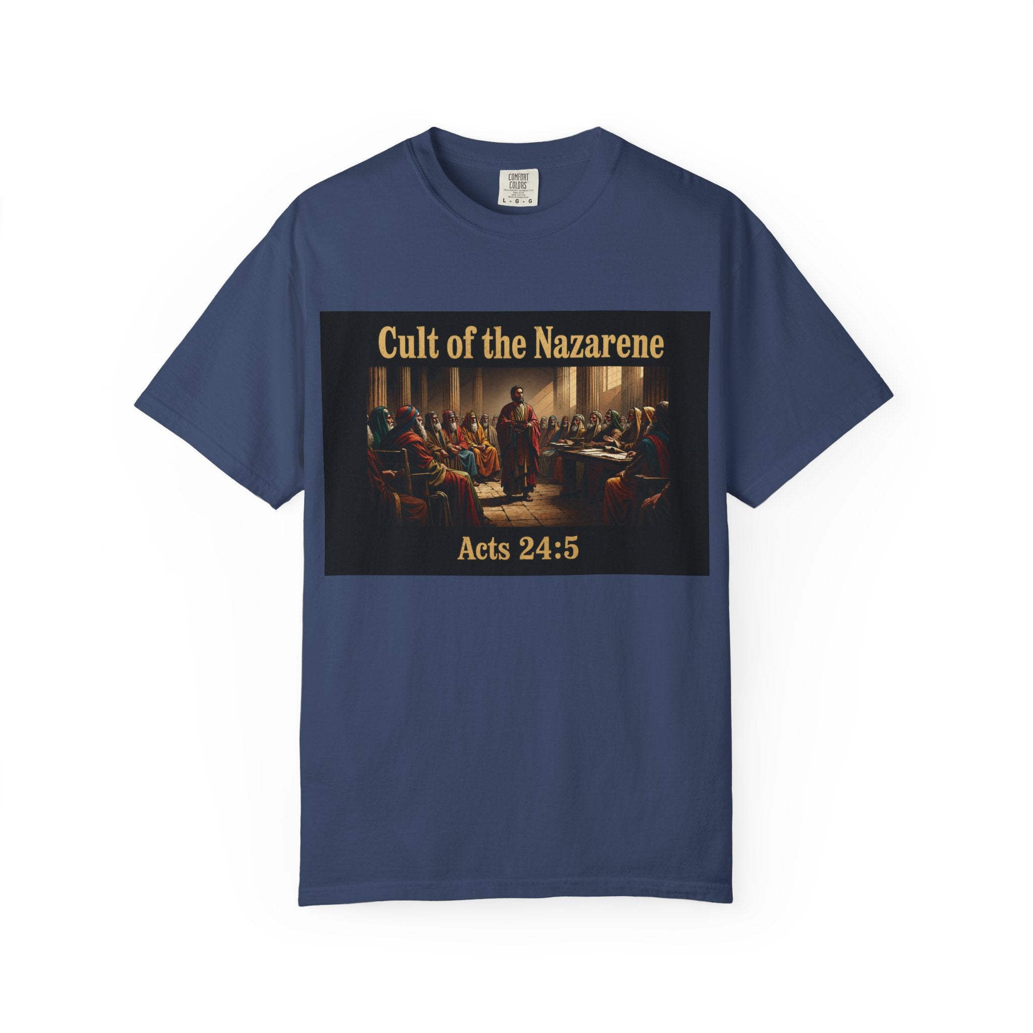 Acts 24:5 Unisex Comfort Dyed T-shirt