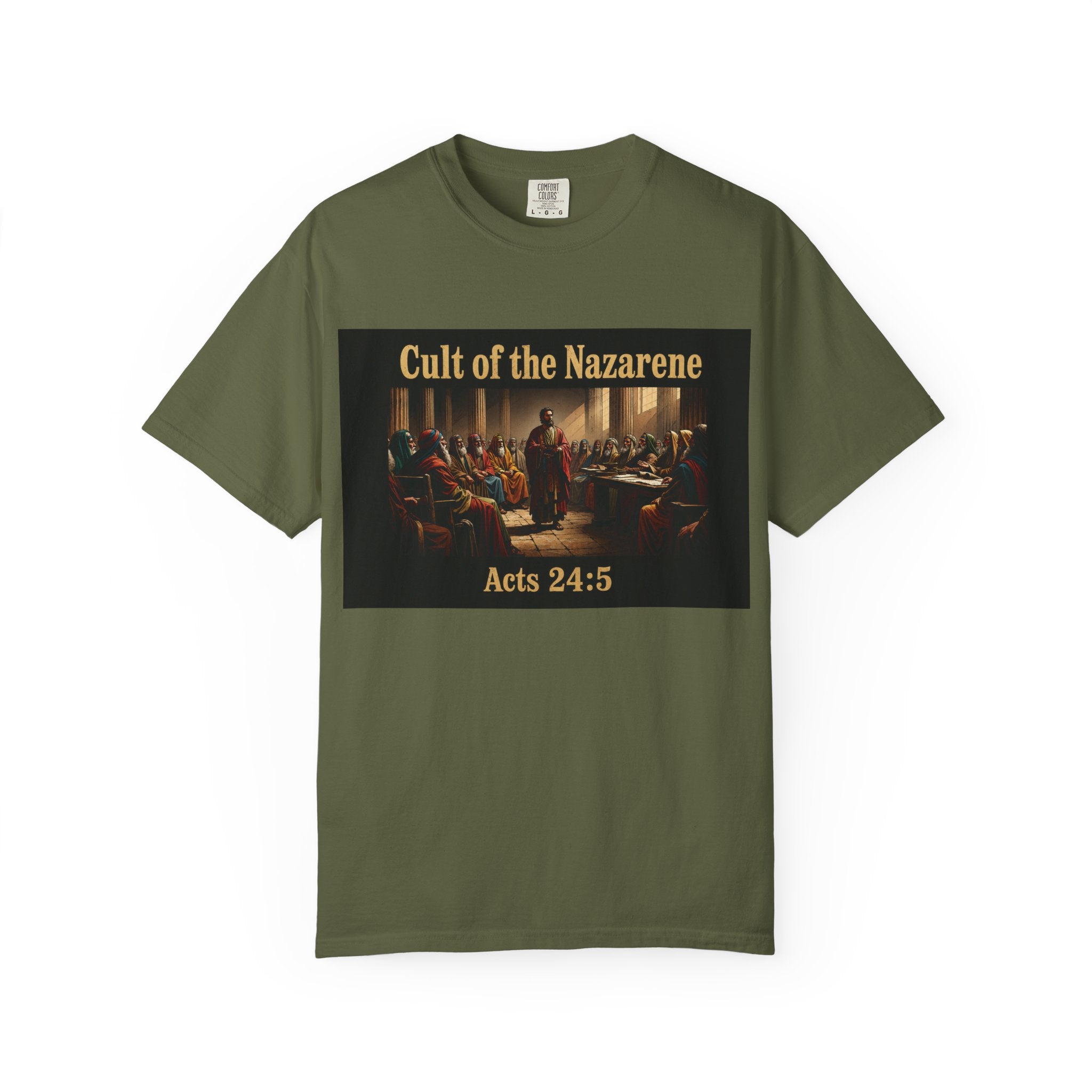 Acts 24:5 Unisex Comfort Dyed T-shirt