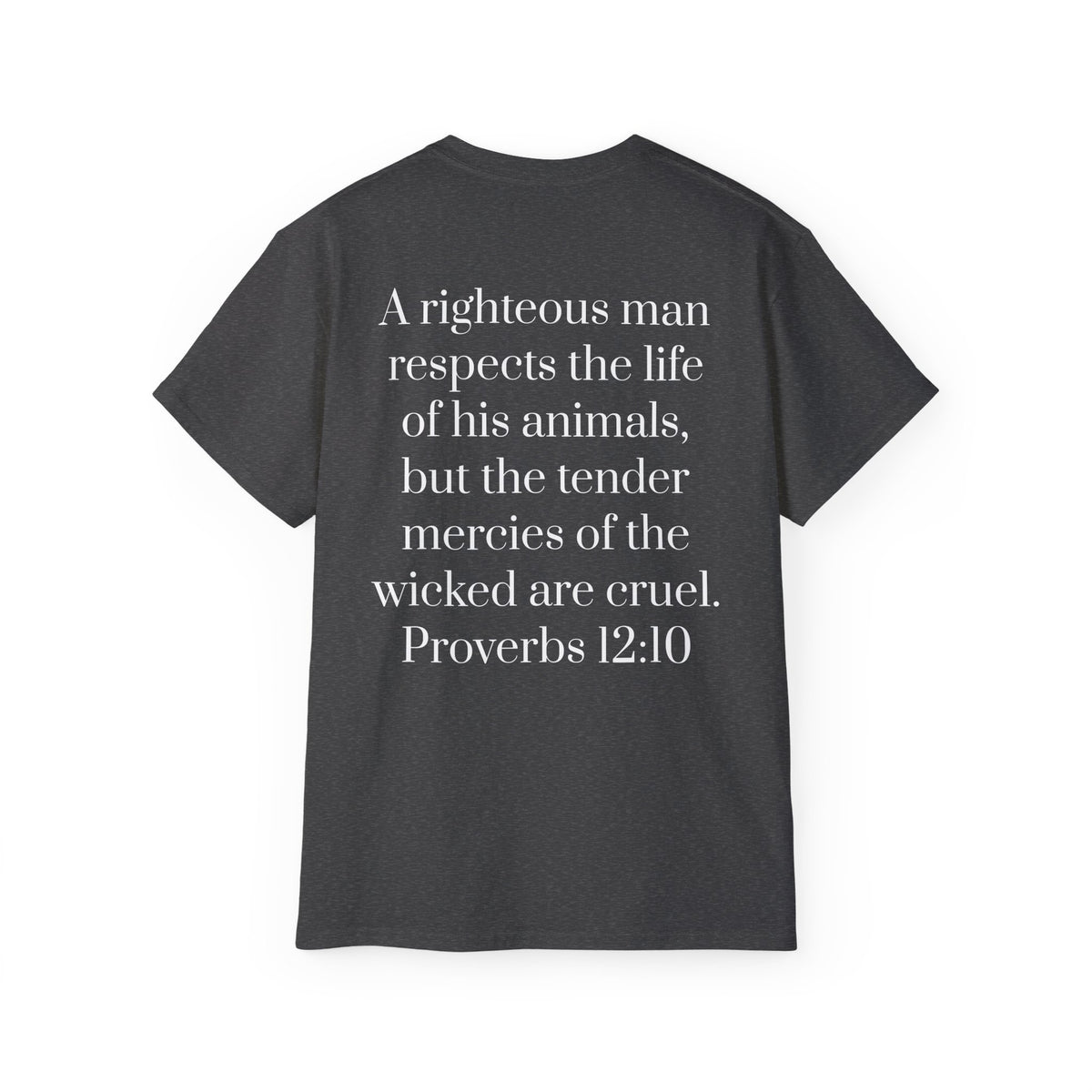 Jesus Follower Dog Lover T-Shirt — Proverbs 12:10 Dog adoption Faith Tee