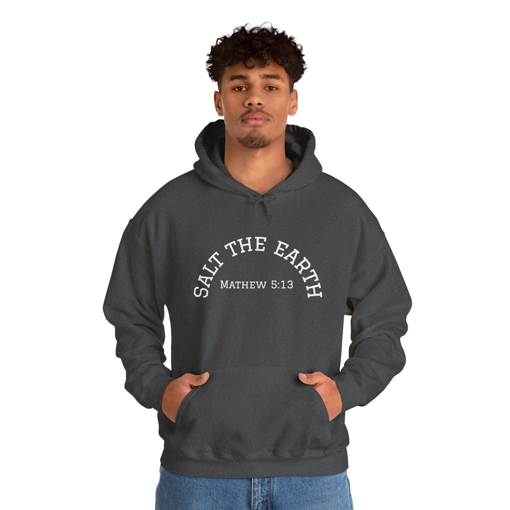 Salt the Earth Hoodie — "Salt the Earth" Matthew 5:13 Christian Graphic Pullover