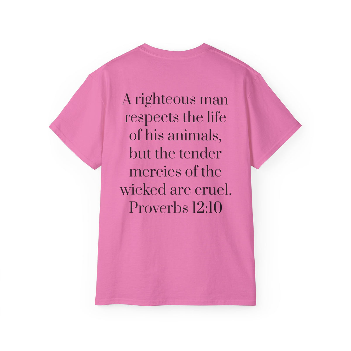 Jesus Follower Dog Lover T-Shirt — Proverbs 12:10 Dog adoption Faith Tee