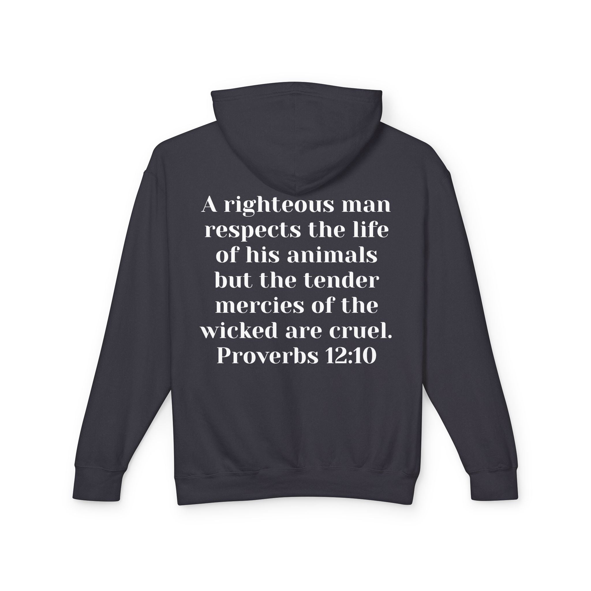 Cat Lover Jesus Follower Hoodie — Proverbs 12:10 Christian Pet cafe Sweatshirt