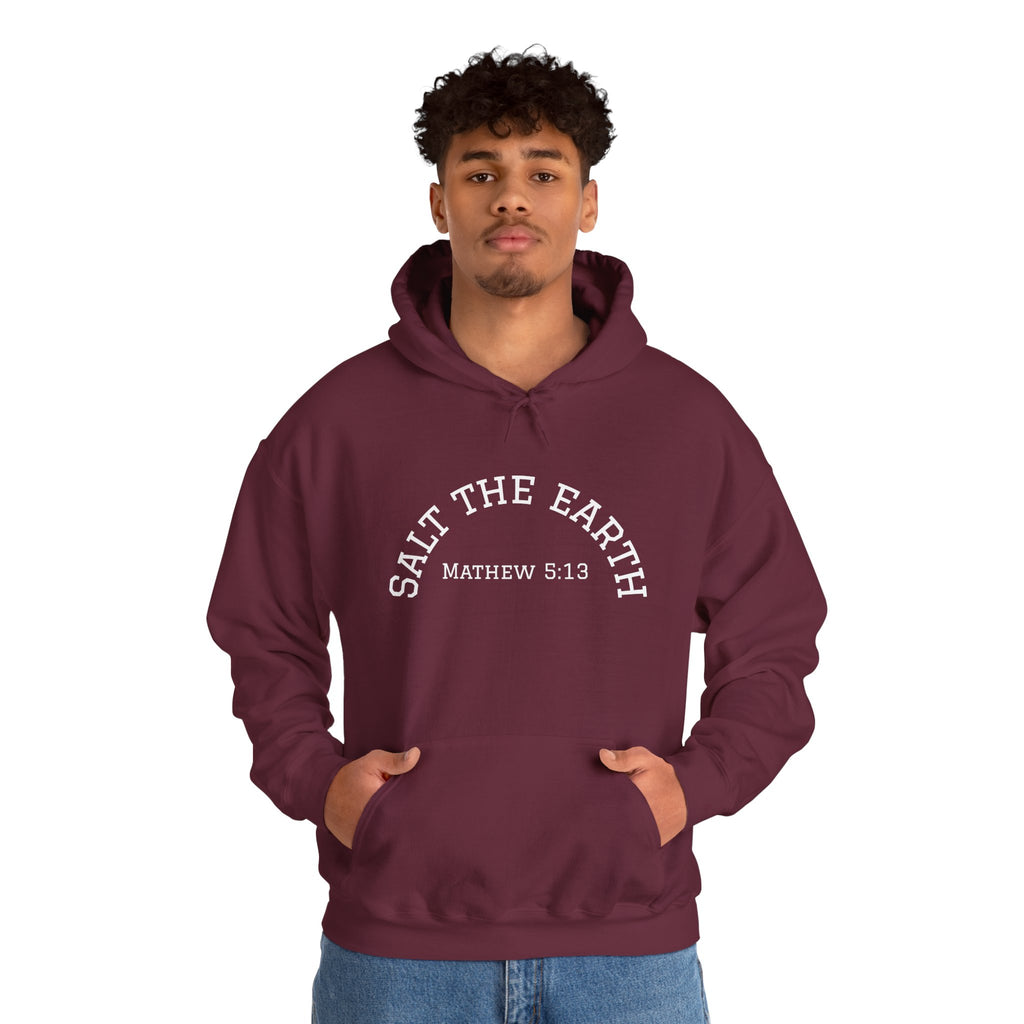 Salt the Earth Hoodie — "Salt the Earth" Matthew 5:13 Christian Graphic Pullover