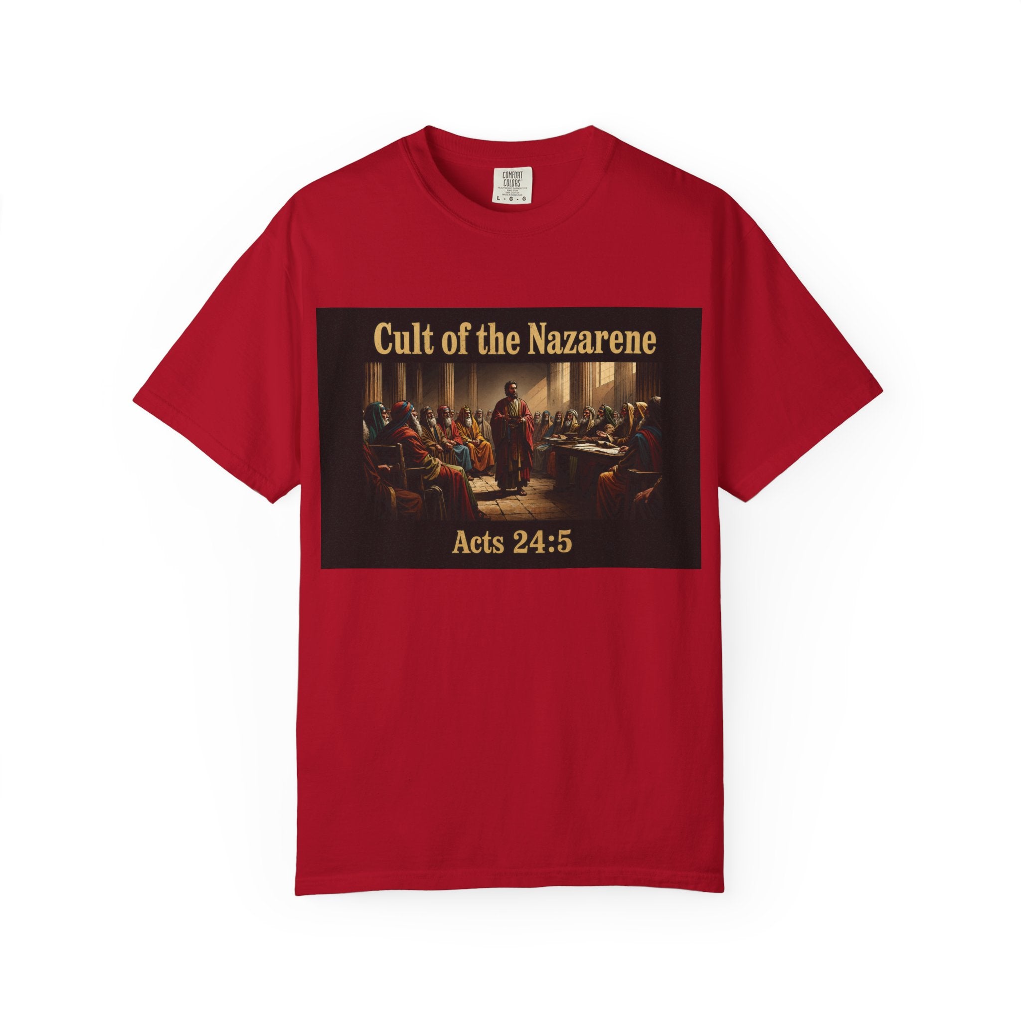 Acts 24:5 Unisex Comfort Dyed T-shirt