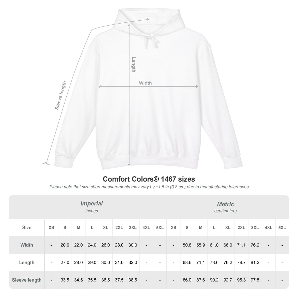 Cat Lover Jesus Follower Hoodie — Proverbs 12:10 Christian Pet Sweatshirt