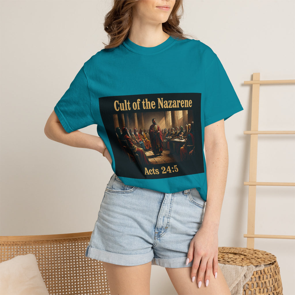 Acts 24:5 Unisex Comfort Dyed T-shirt