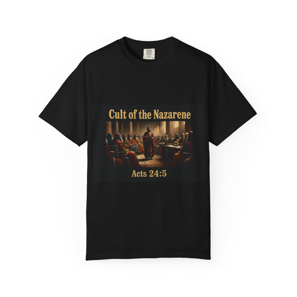 Acts 24:5 Unisex Comfort Dyed T-shirt