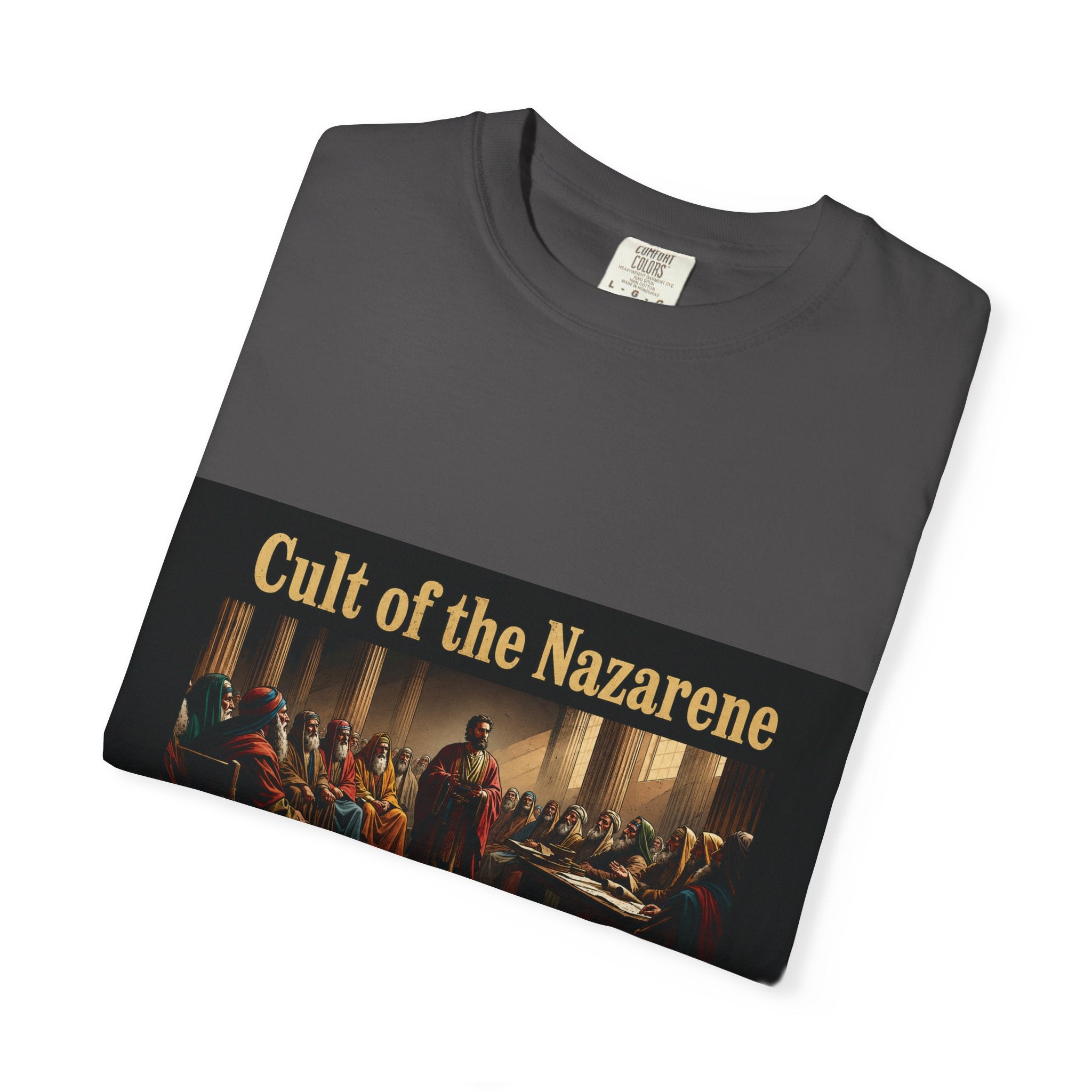 Acts 24:5 Unisex Comfort Dyed T-shirt
