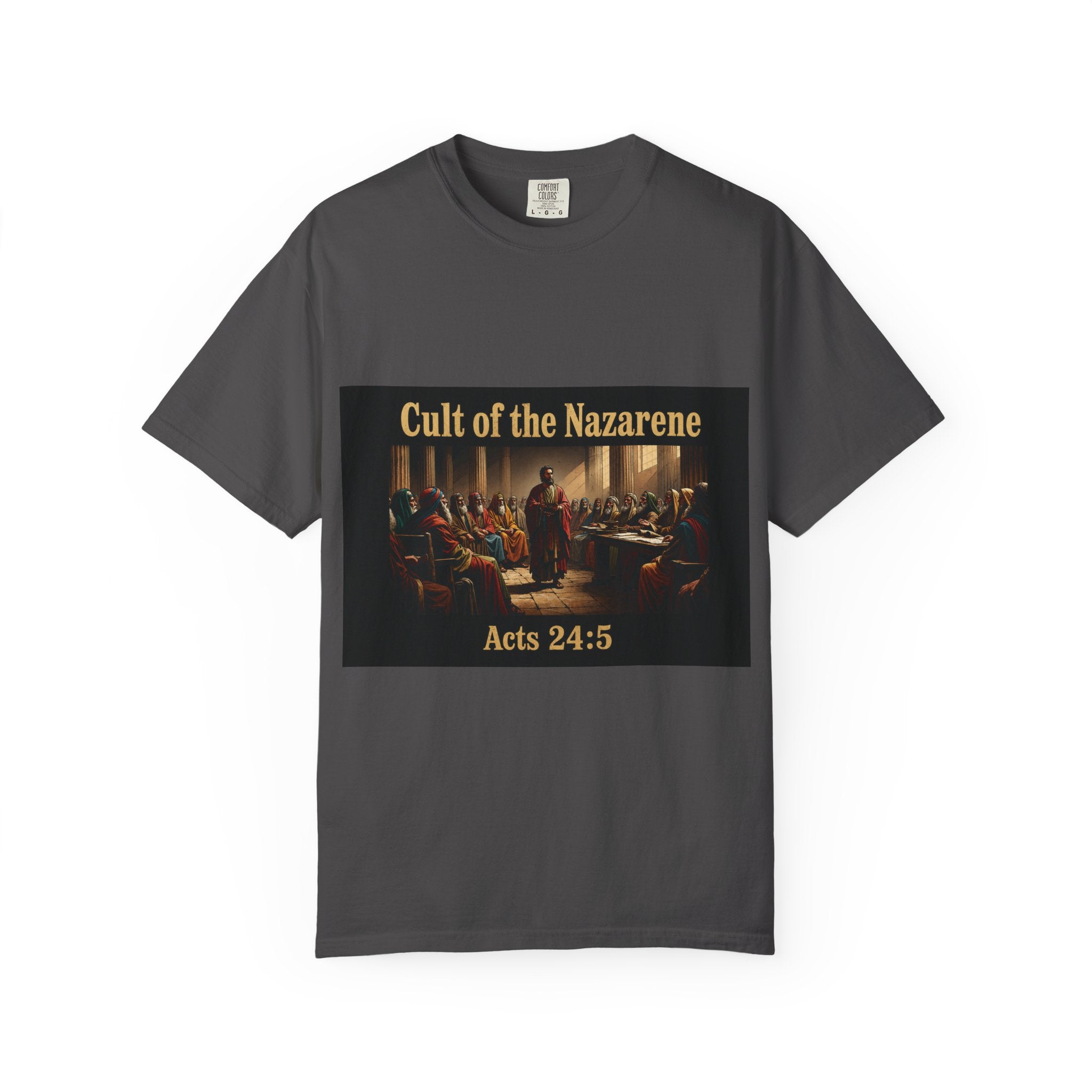 Acts 24:5 Unisex Comfort Dyed T-shirt