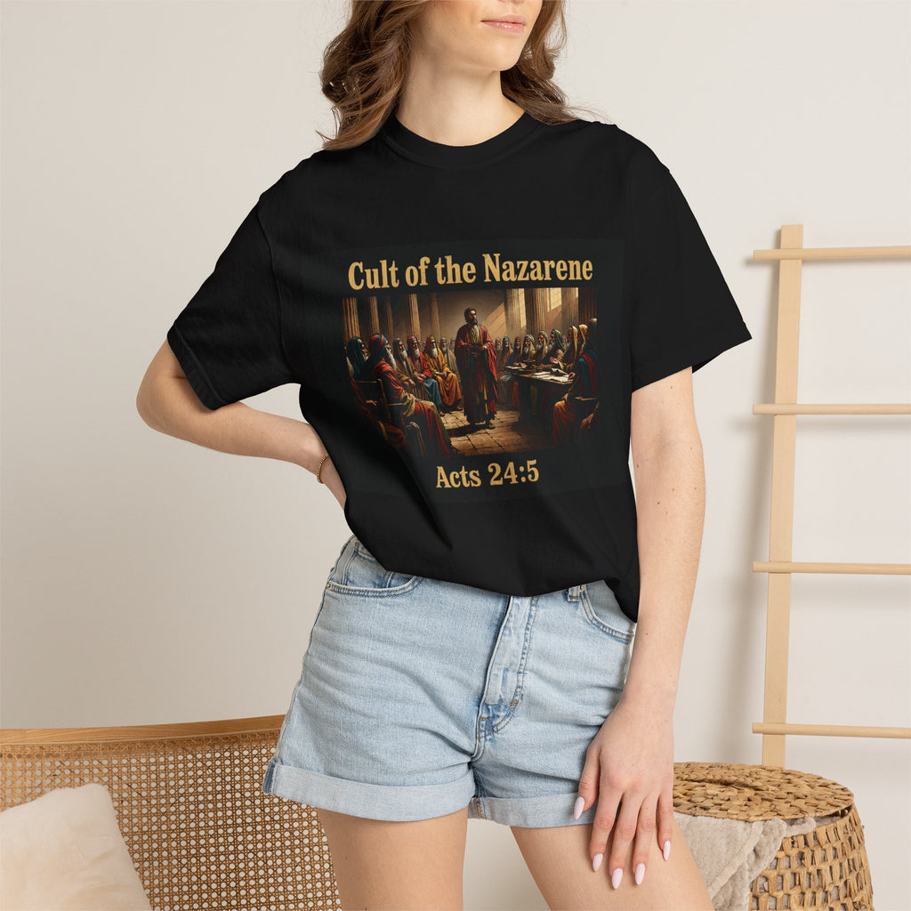 Acts 24:5 Unisex Comfort Dyed T-shirt