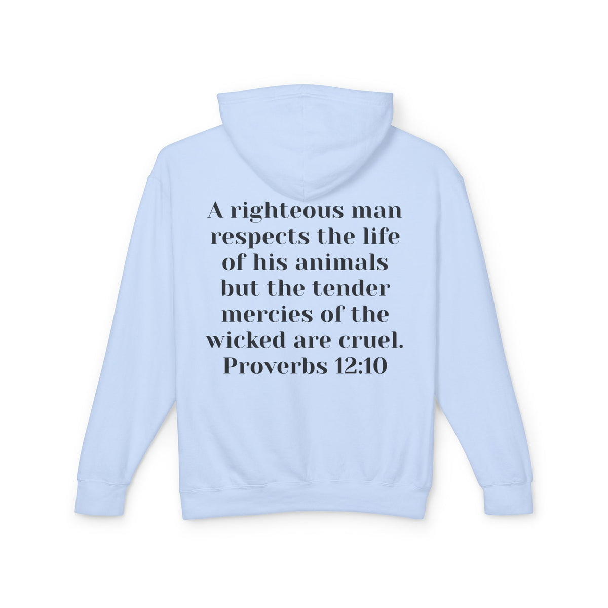 Cat Lover Jesus Follower Hoodie — Proverbs 12:10 Christian Pet Sweatshirt