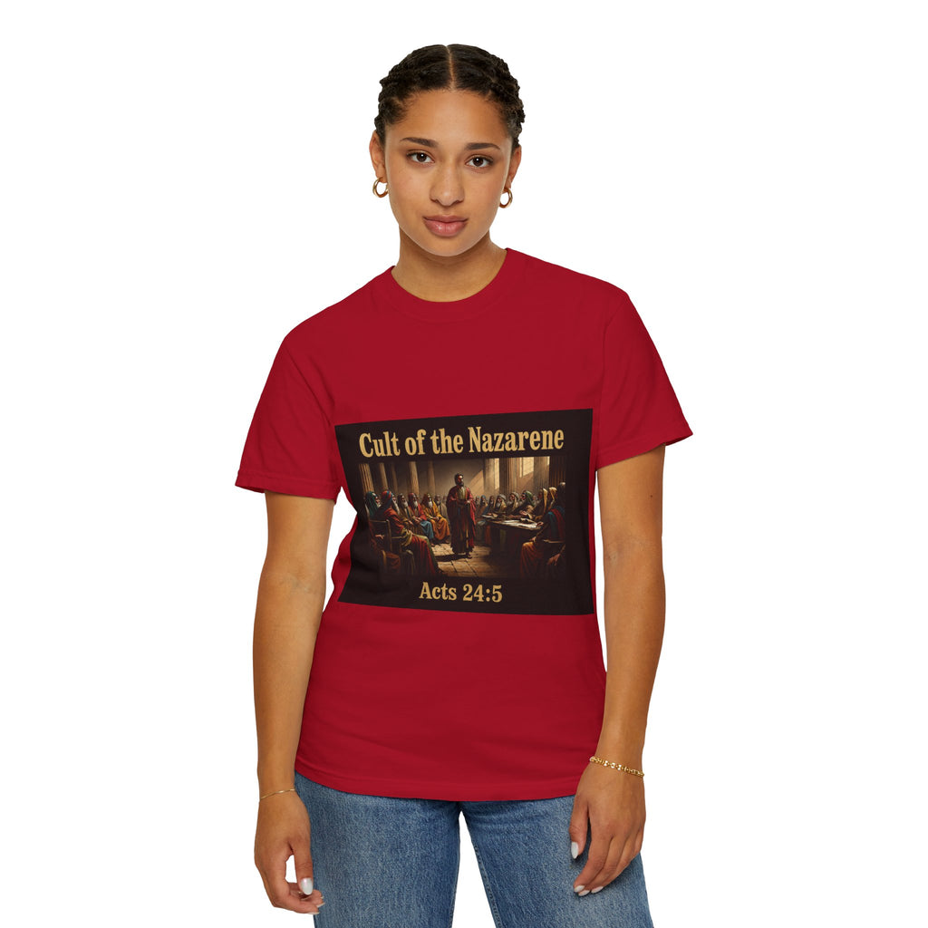 Acts 24:5 Unisex Comfort Dyed T-shirt