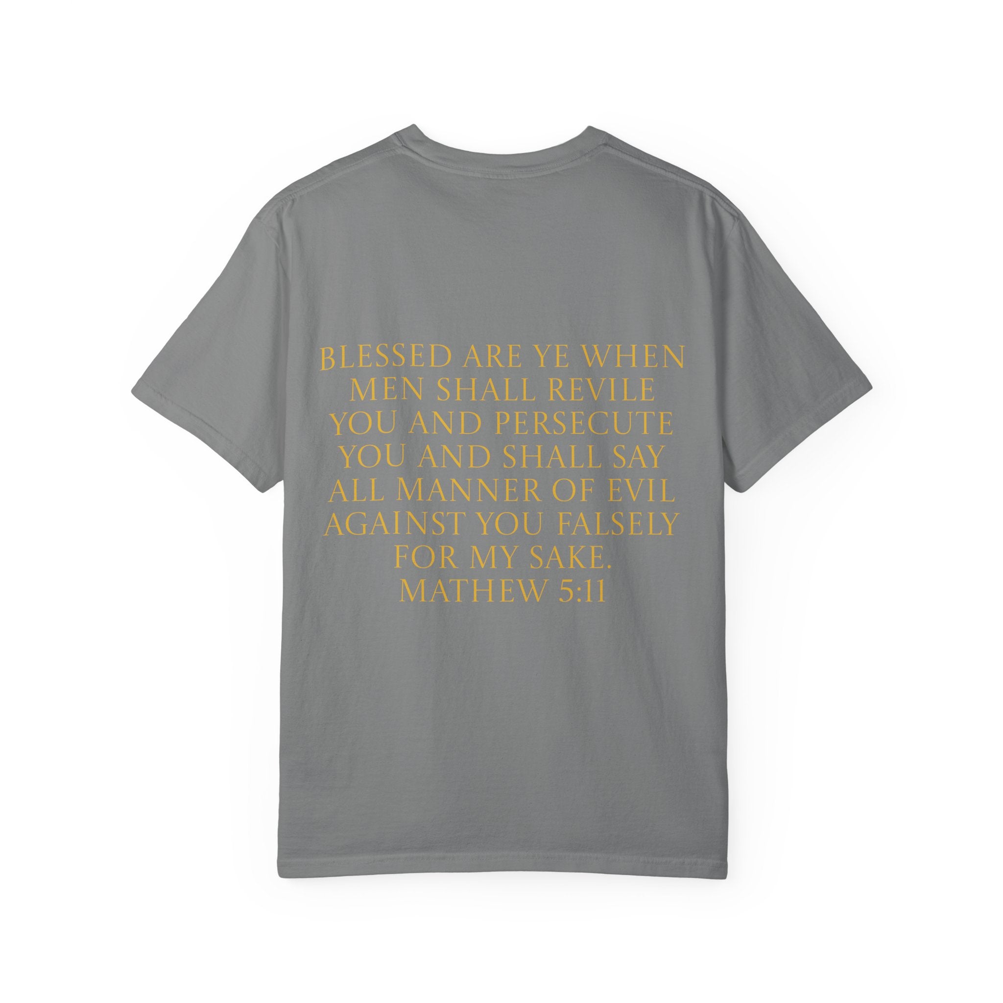 Acts 24:5 Unisex Comfort Dyed T-shirt