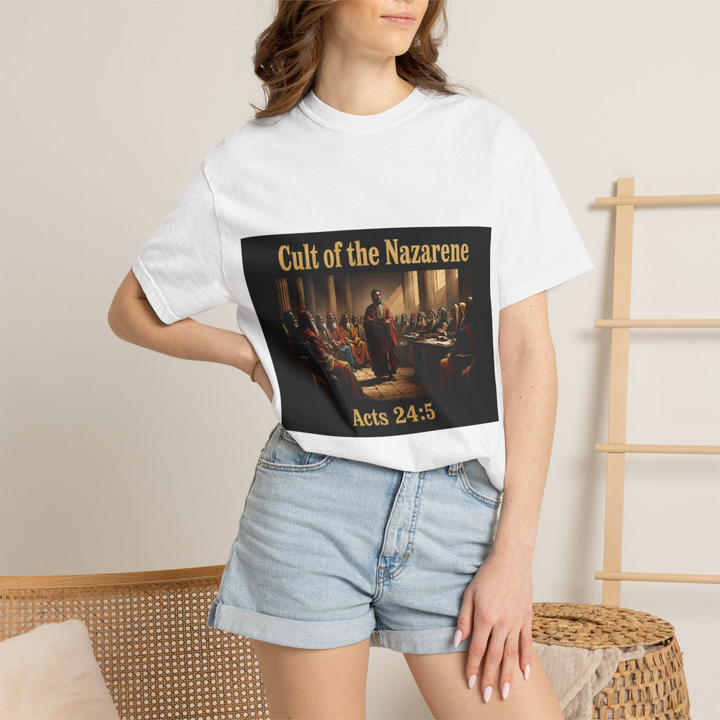 Acts 24:5 Unisex Comfort Dyed T-shirt