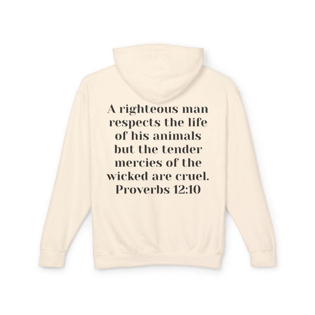 Cat Lover Jesus Follower Hoodie — Proverbs 12:10 Christian Pet Sweatshirt