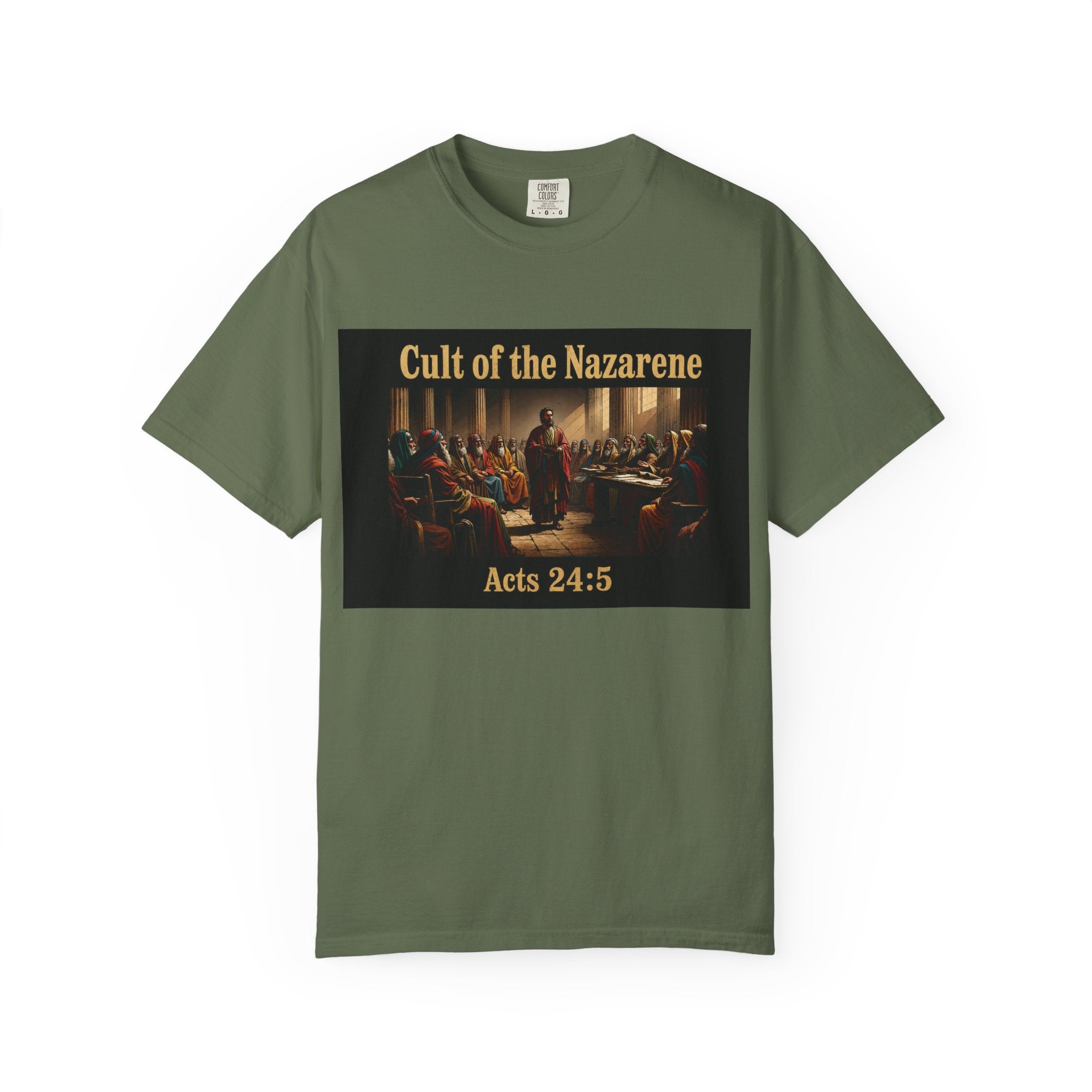 Acts 24:5 Unisex Comfort Dyed T-shirt