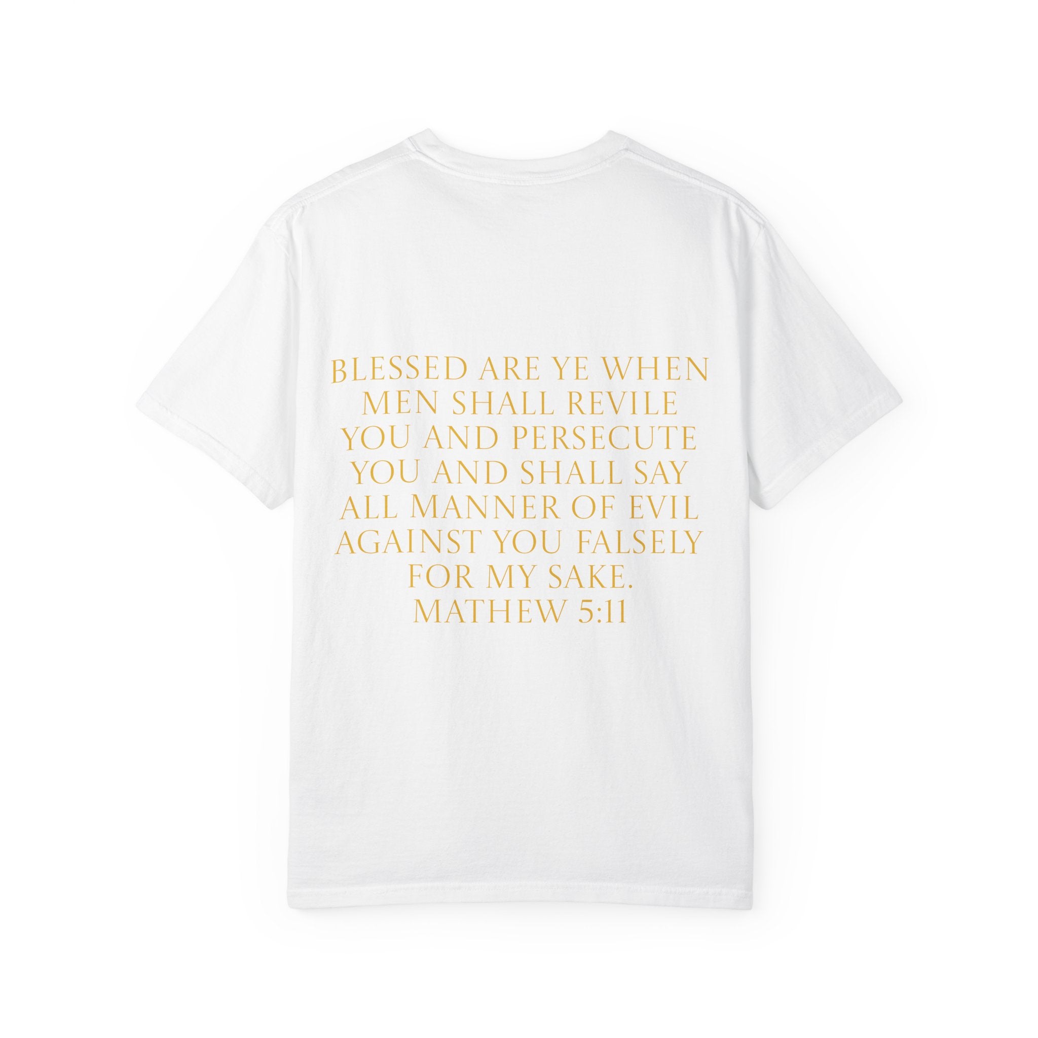 Acts 24:5 Unisex Comfort Dyed T-shirt