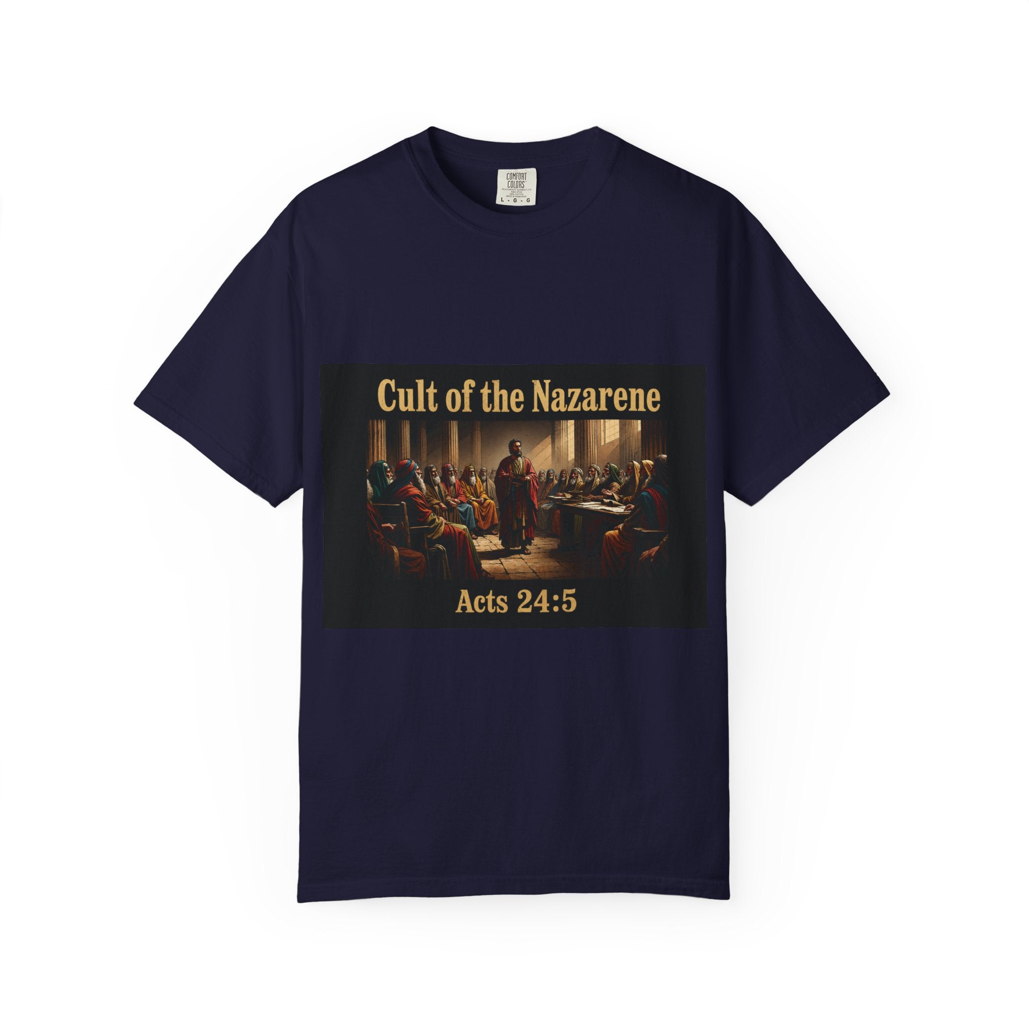 Acts 24:5 Unisex Comfort Dyed T-shirt