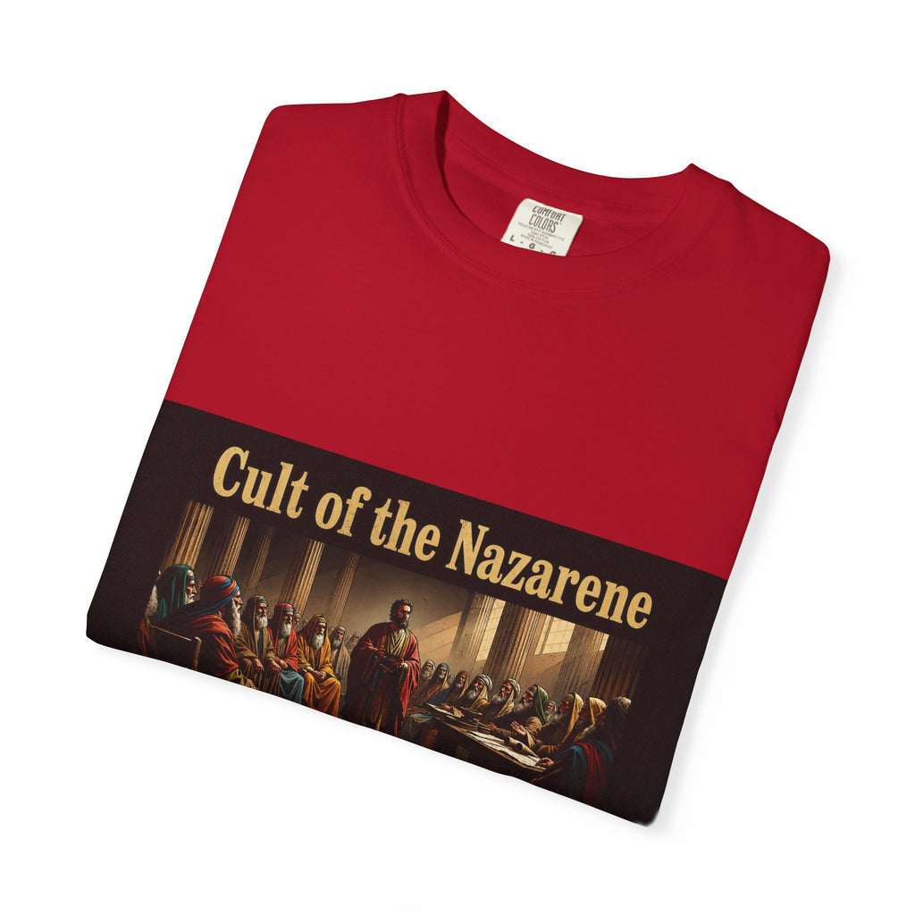 Acts 24:5 Unisex Comfort Dyed T-shirt