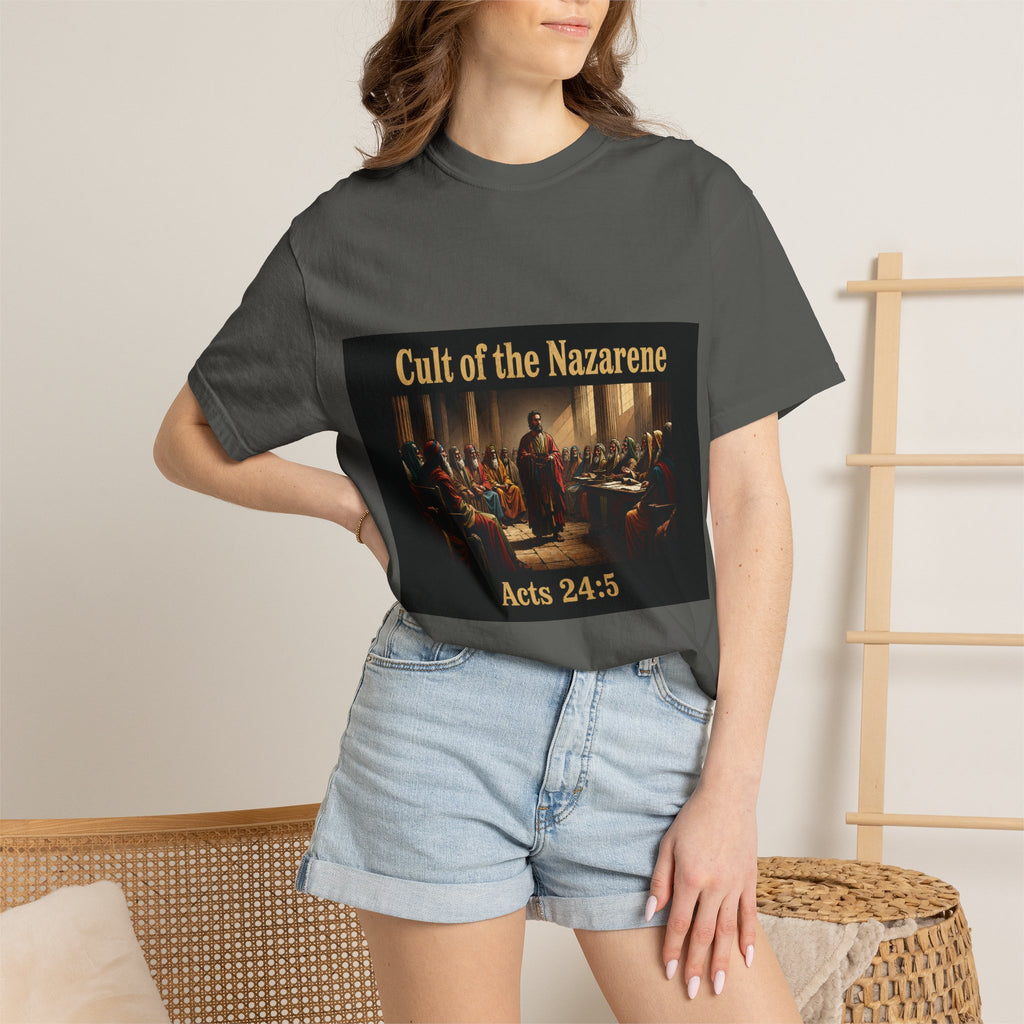 Acts 24:5 Unisex Comfort Dyed T-shirt