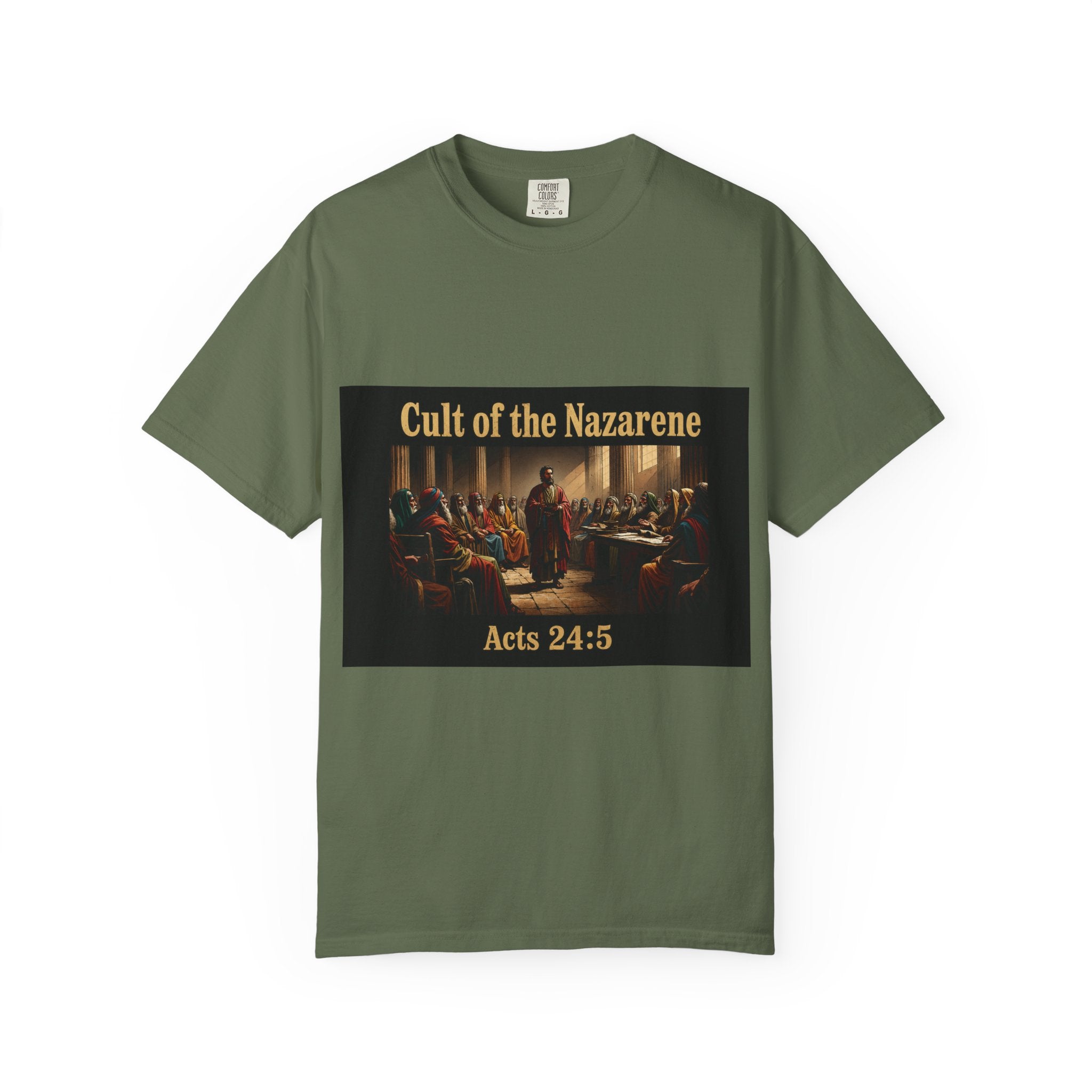 Acts 24:5 Unisex Comfort Dyed T-shirt