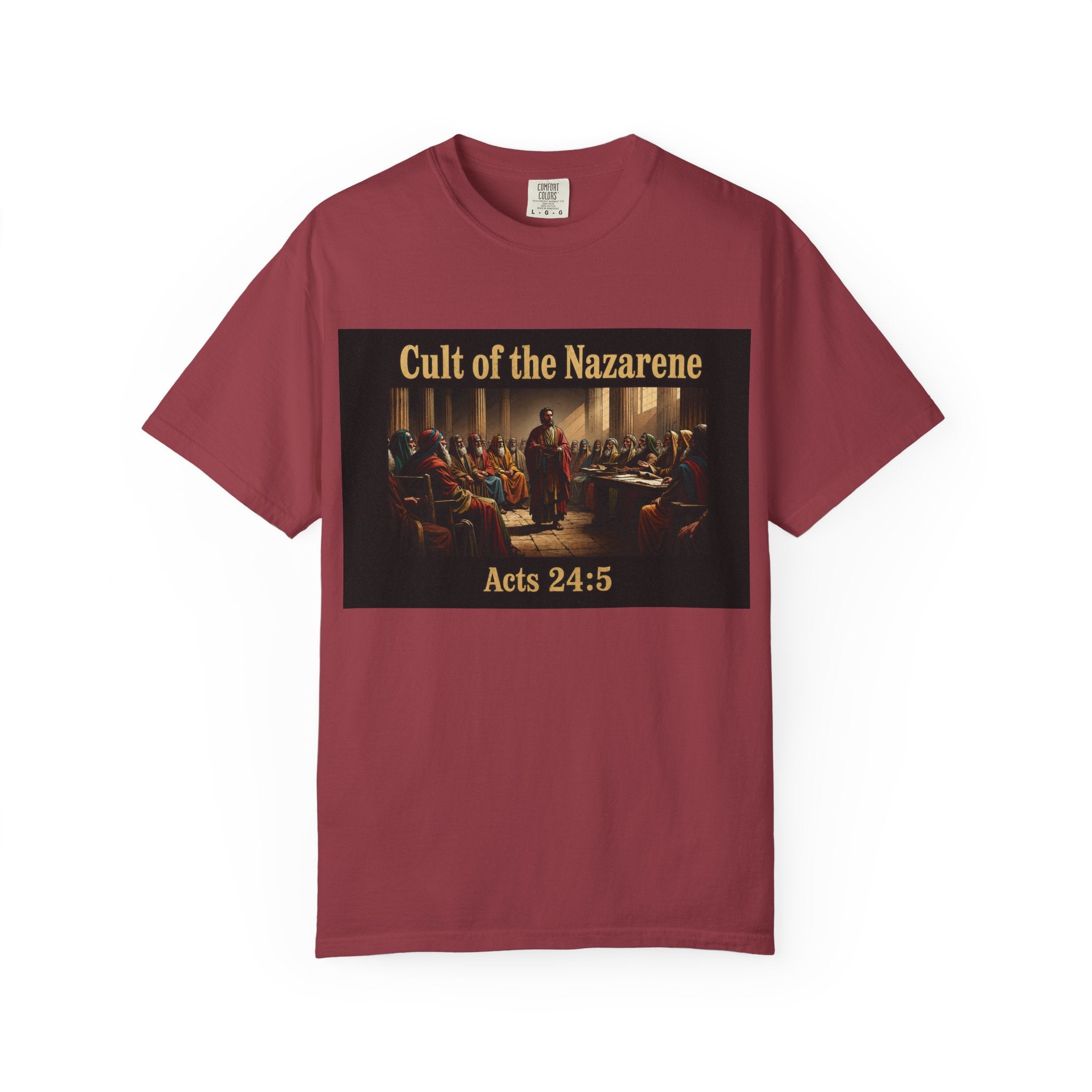 Acts 24:5 Unisex Comfort Dyed T-shirt