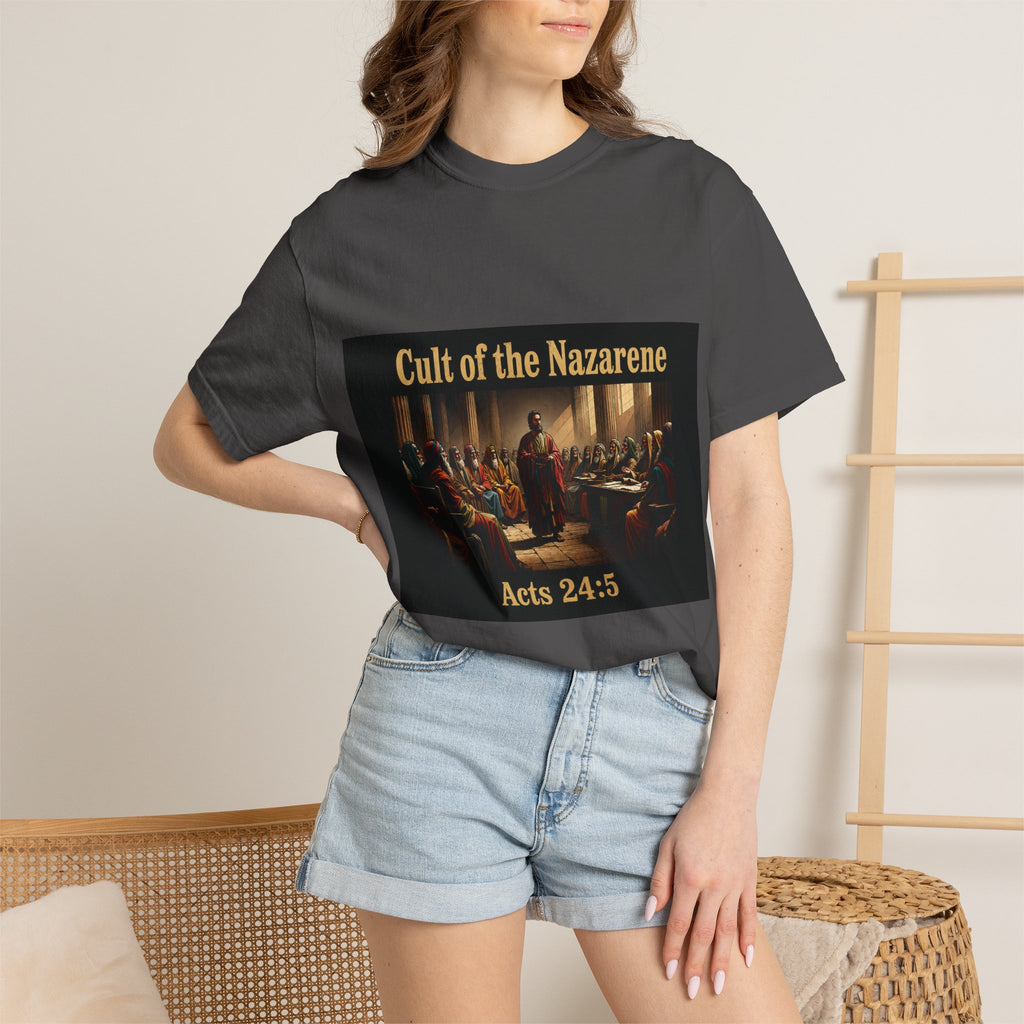 Acts 24:5 Unisex Comfort Dyed T-shirt
