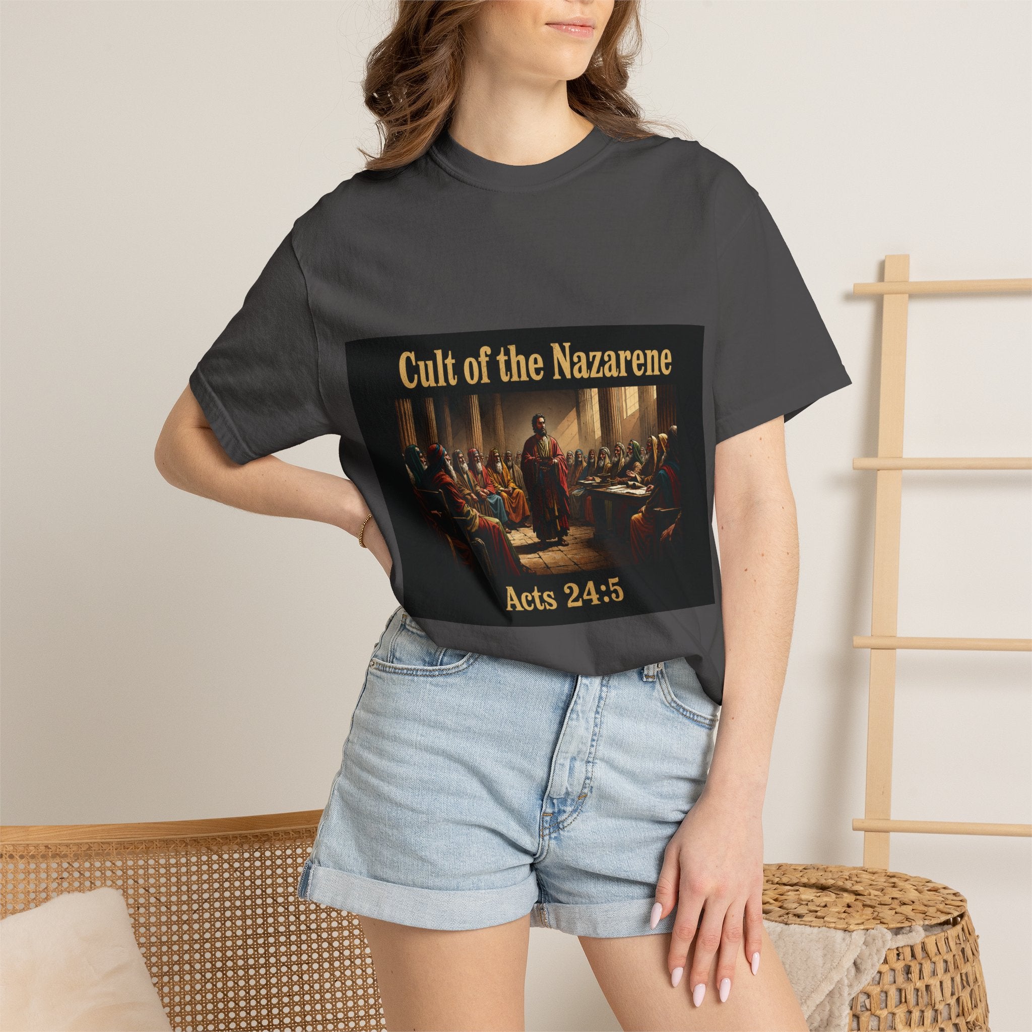 Acts 24:5 Unisex Comfort Dyed T-shirt