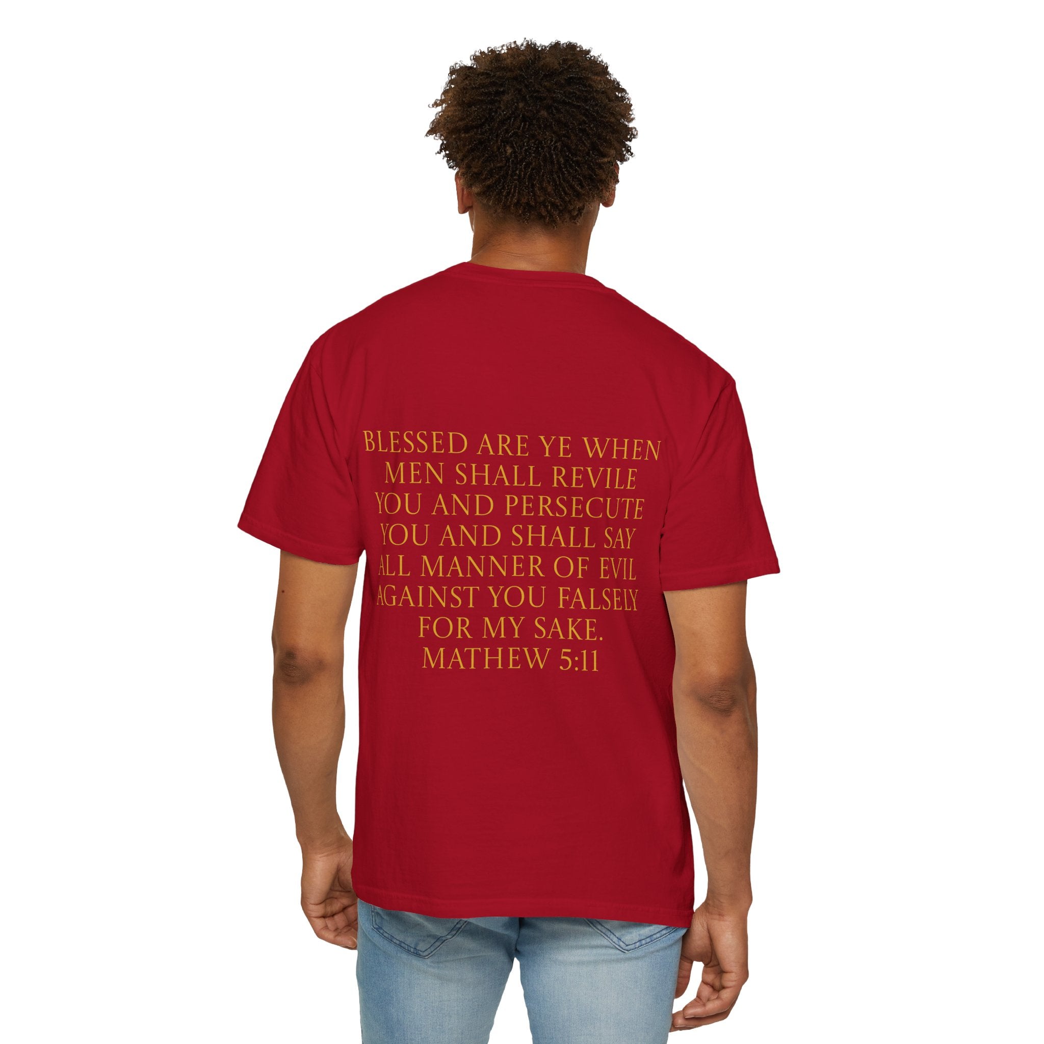 Acts 24:5 Unisex Comfort Dyed T-shirt