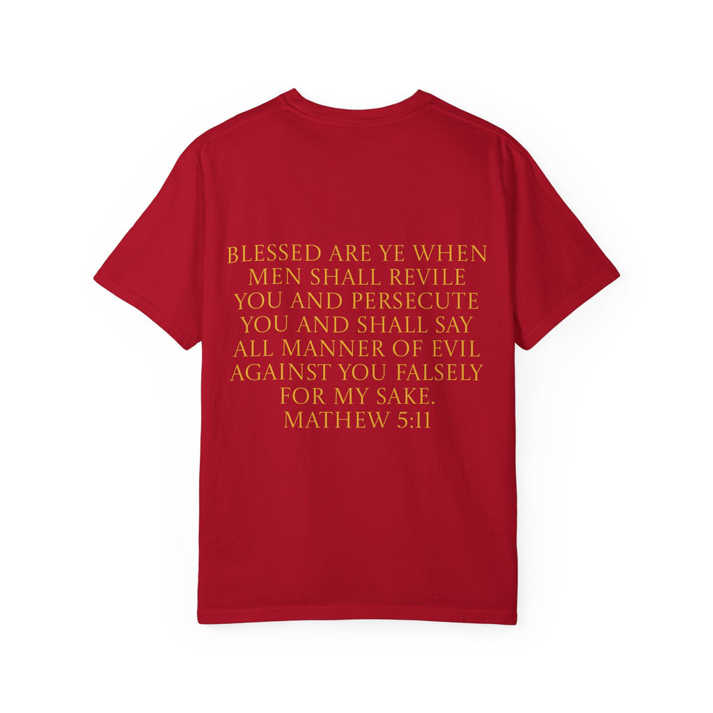 Acts 24:5 Unisex Comfort Dyed T-shirt