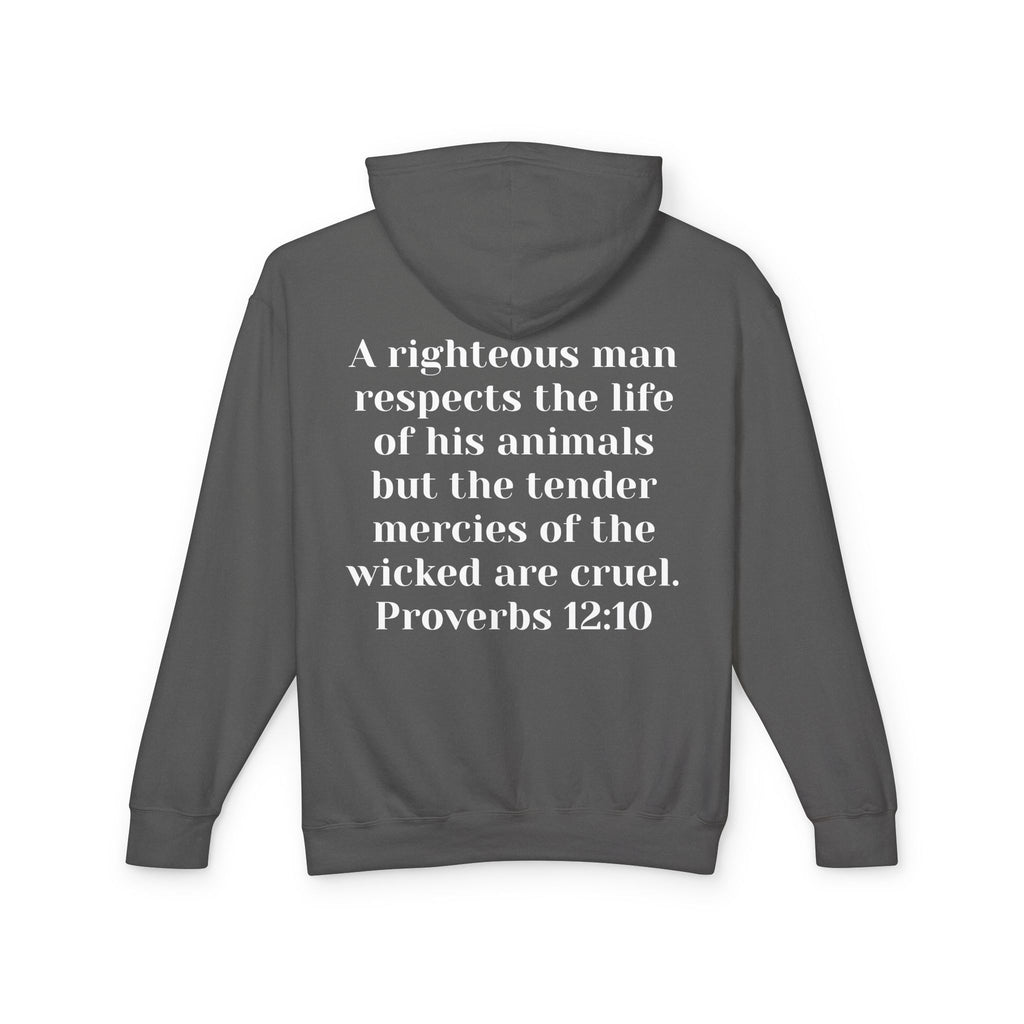 Cat Lover Jesus Follower Hoodie — Proverbs 12:10 Christian Pet Sweatshirt