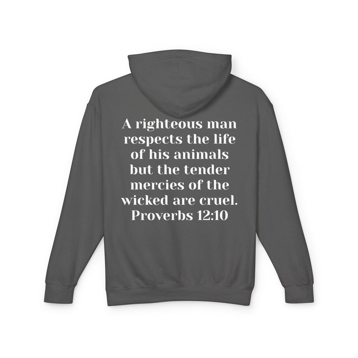 Cat Lover Jesus Follower Hoodie — Proverbs 12:10 Christian Pet Sweatshirt