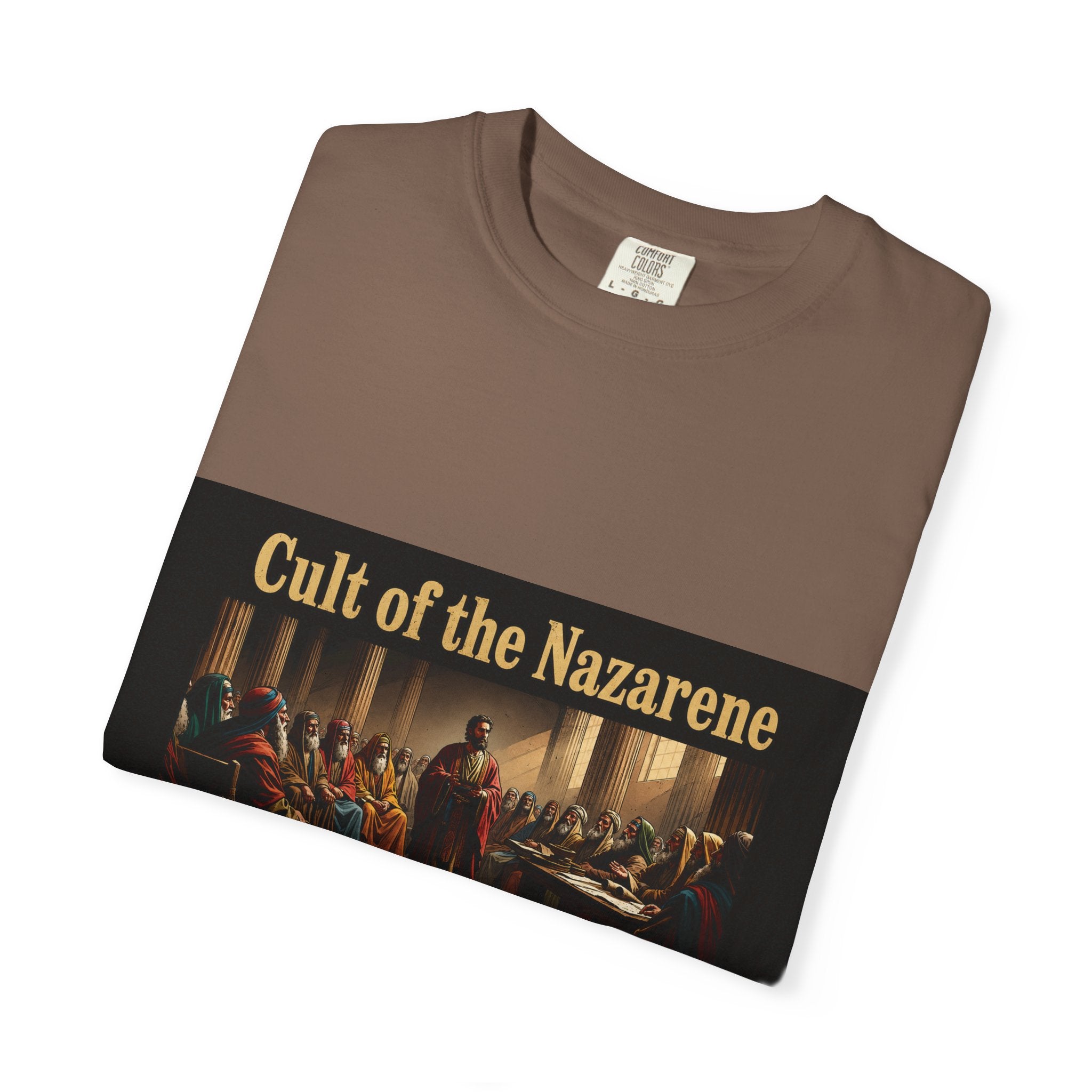 Acts 24:5 Unisex Comfort Dyed T-shirt