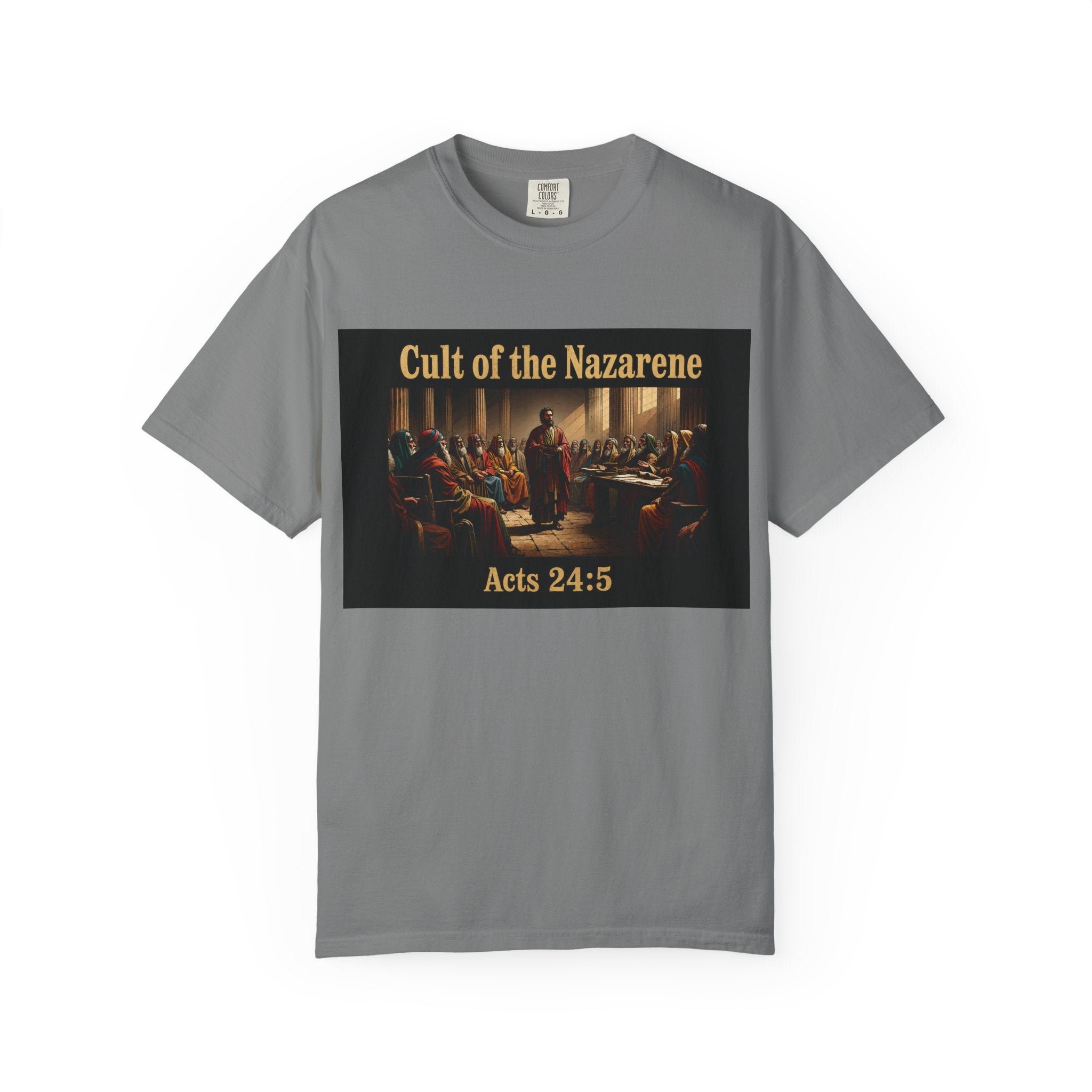 Acts 24:5 Unisex Comfort Dyed T-shirt