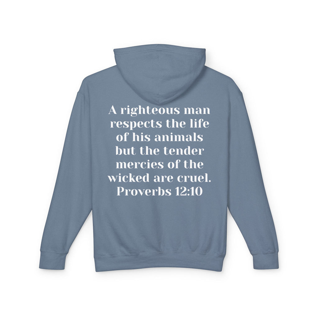 Cat Lover Jesus Follower Hoodie — Proverbs 12:10 Christian Pet Sweatshirt