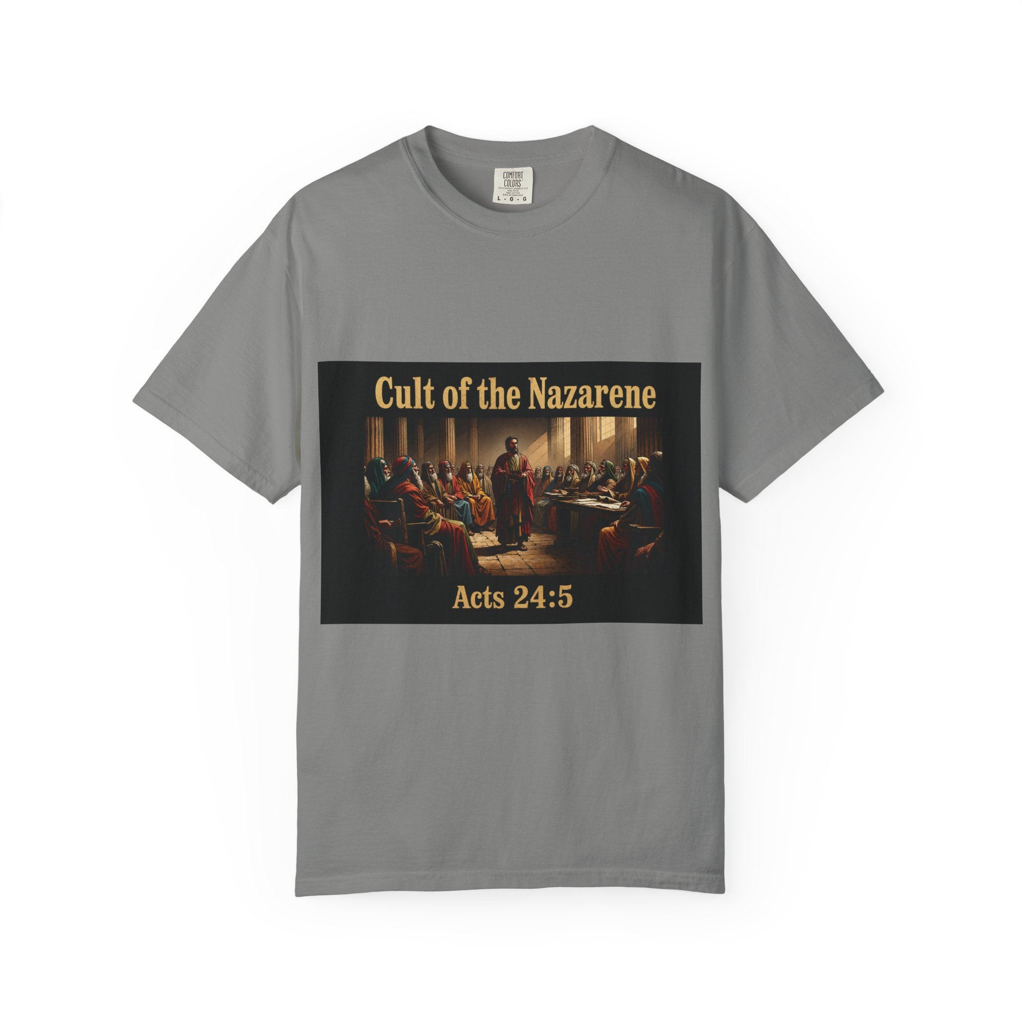 Acts 24:5 Unisex Comfort Dyed T-shirt
