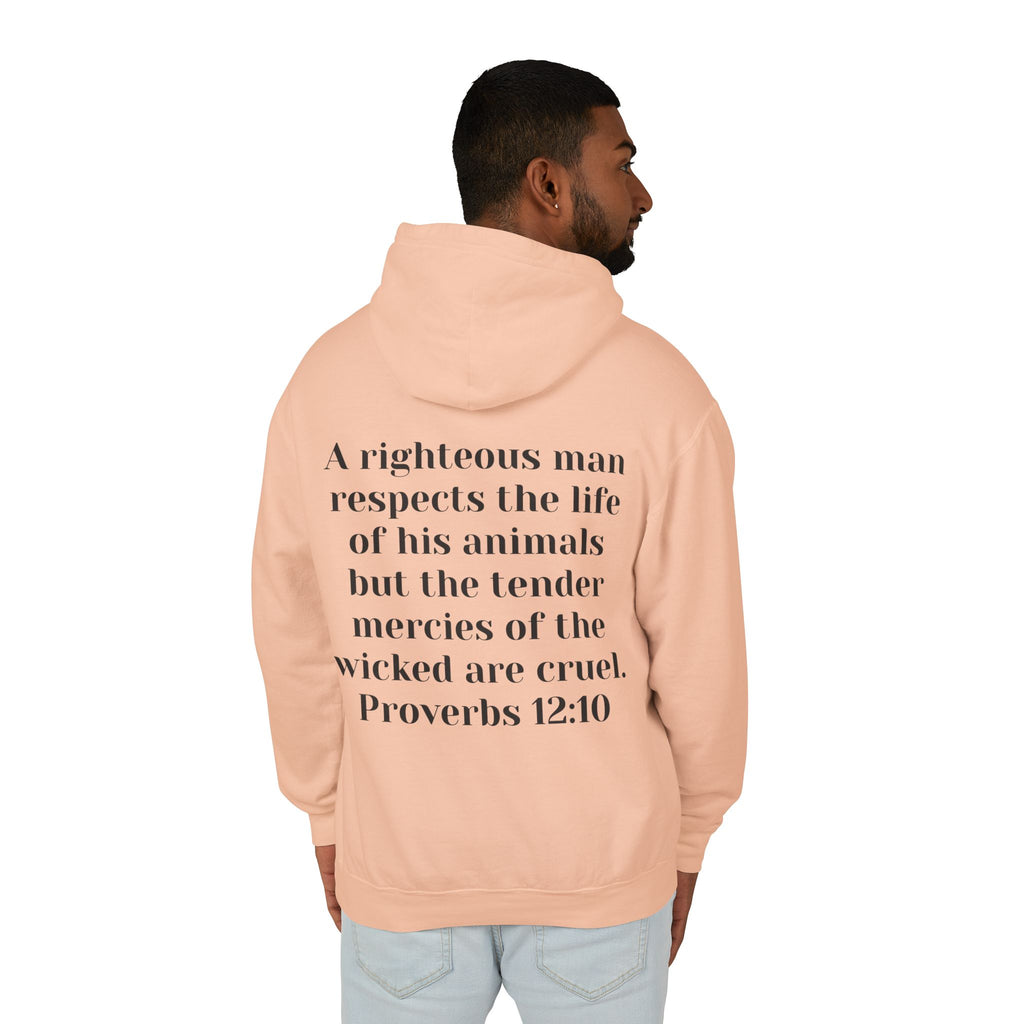 Cat Lover Jesus Follower Hoodie — Proverbs 12:10 Christian Pet Sweatshirt