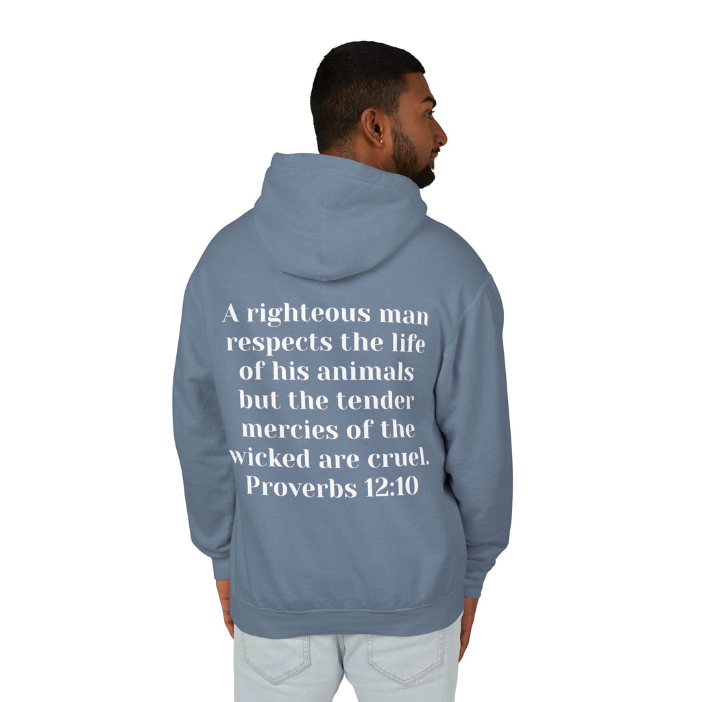 Cat Lover Jesus Follower Hoodie — Proverbs 12:10 Christian Pet Sweatshirt