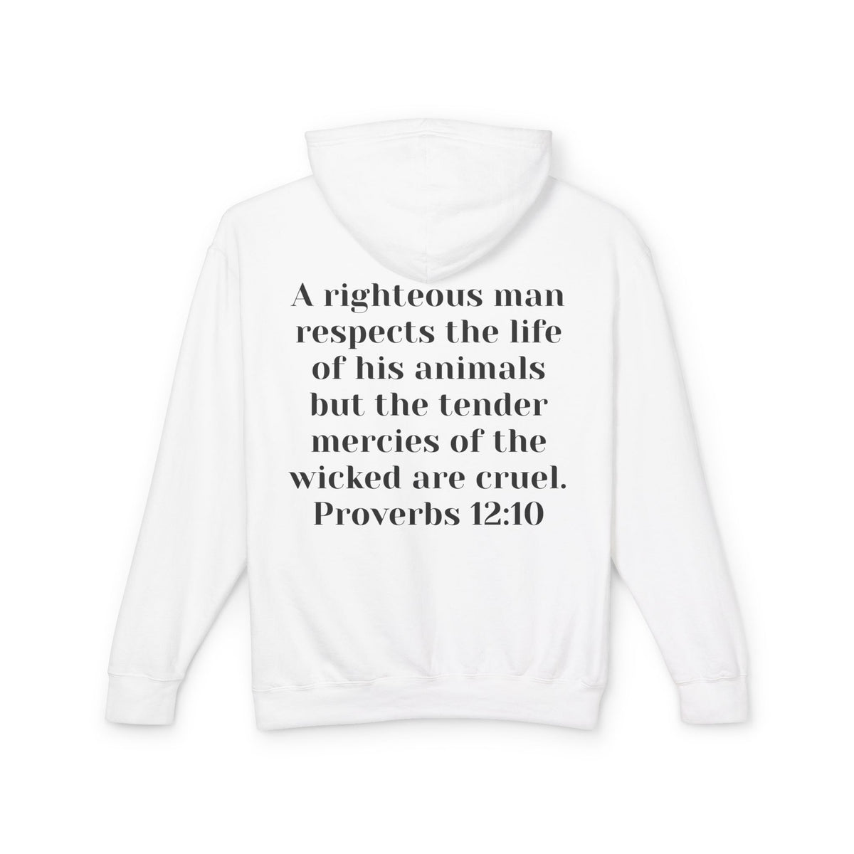 Cat Lover Jesus Follower Hoodie — Proverbs 12:10 Christian Pet Sweatshirt