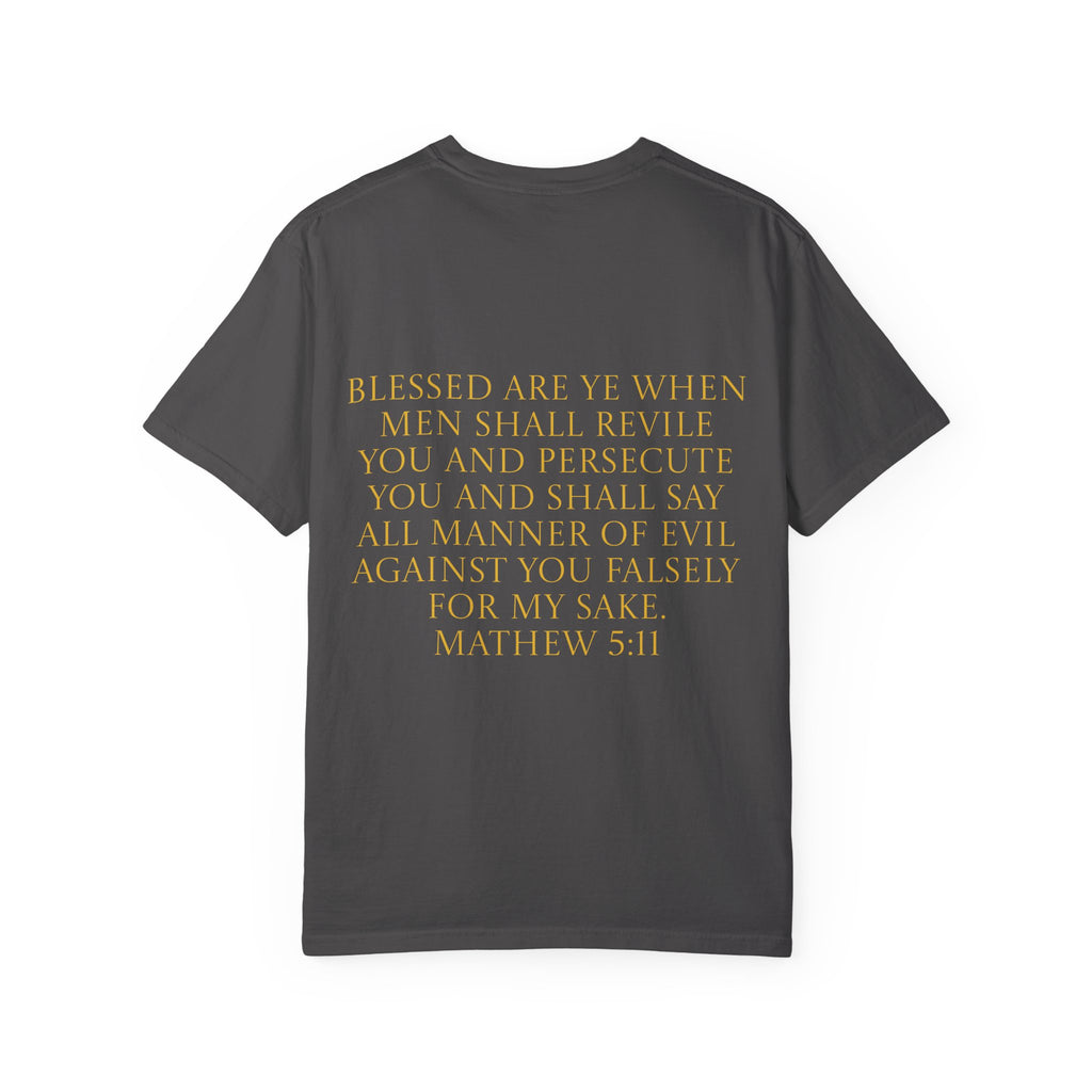 Acts 24:5 Unisex Comfort Dyed T-shirt