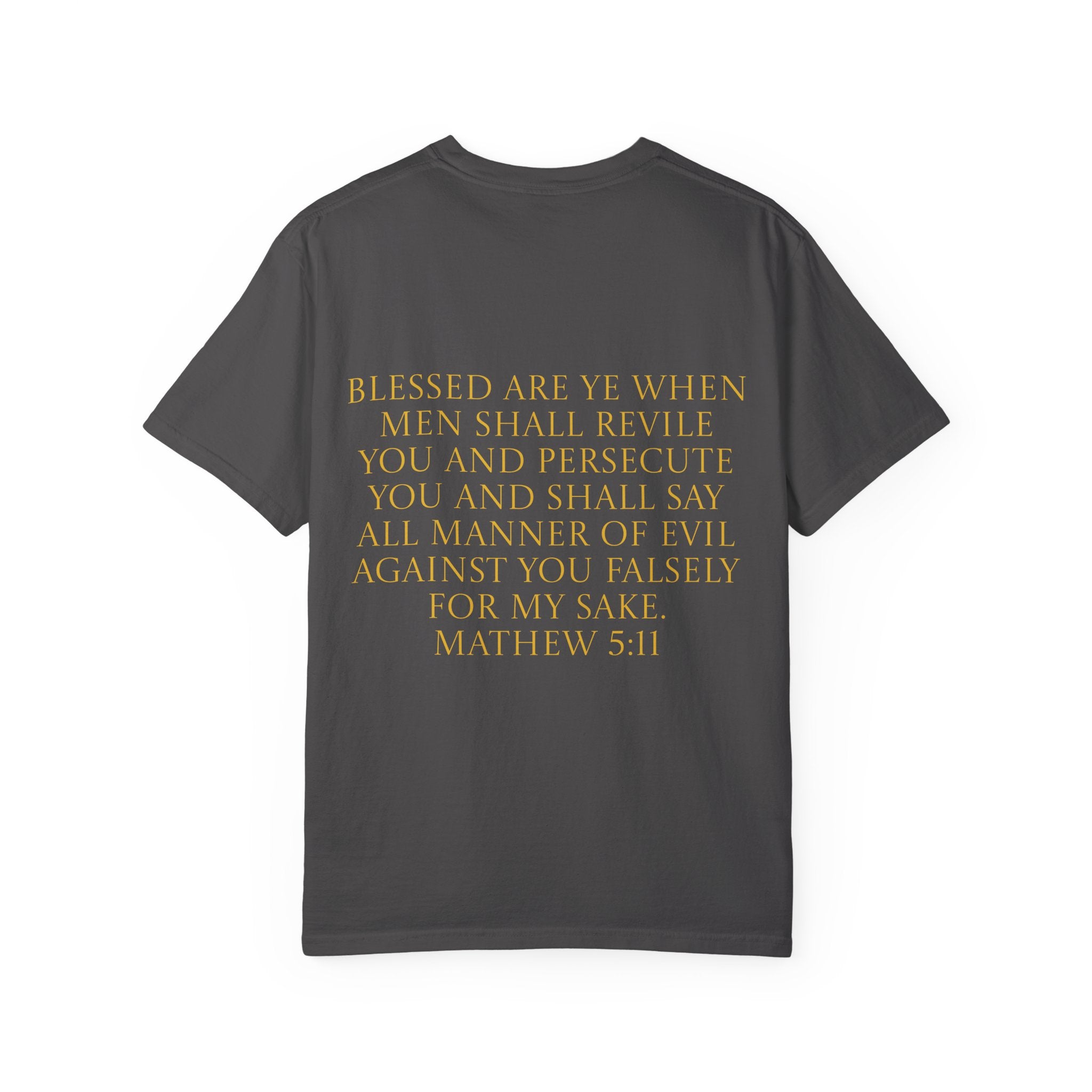 Acts 24:5 Unisex Comfort Dyed T-shirt