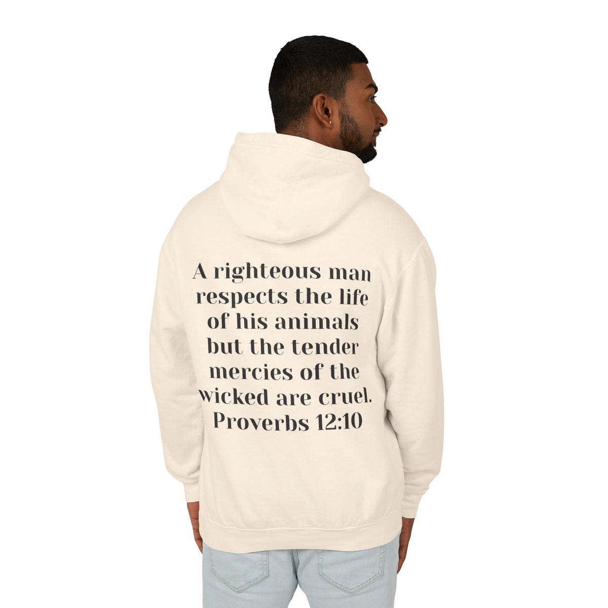 Cat Lover Jesus Follower Hoodie — Proverbs 12:10 Christian Pet Sweatshirt