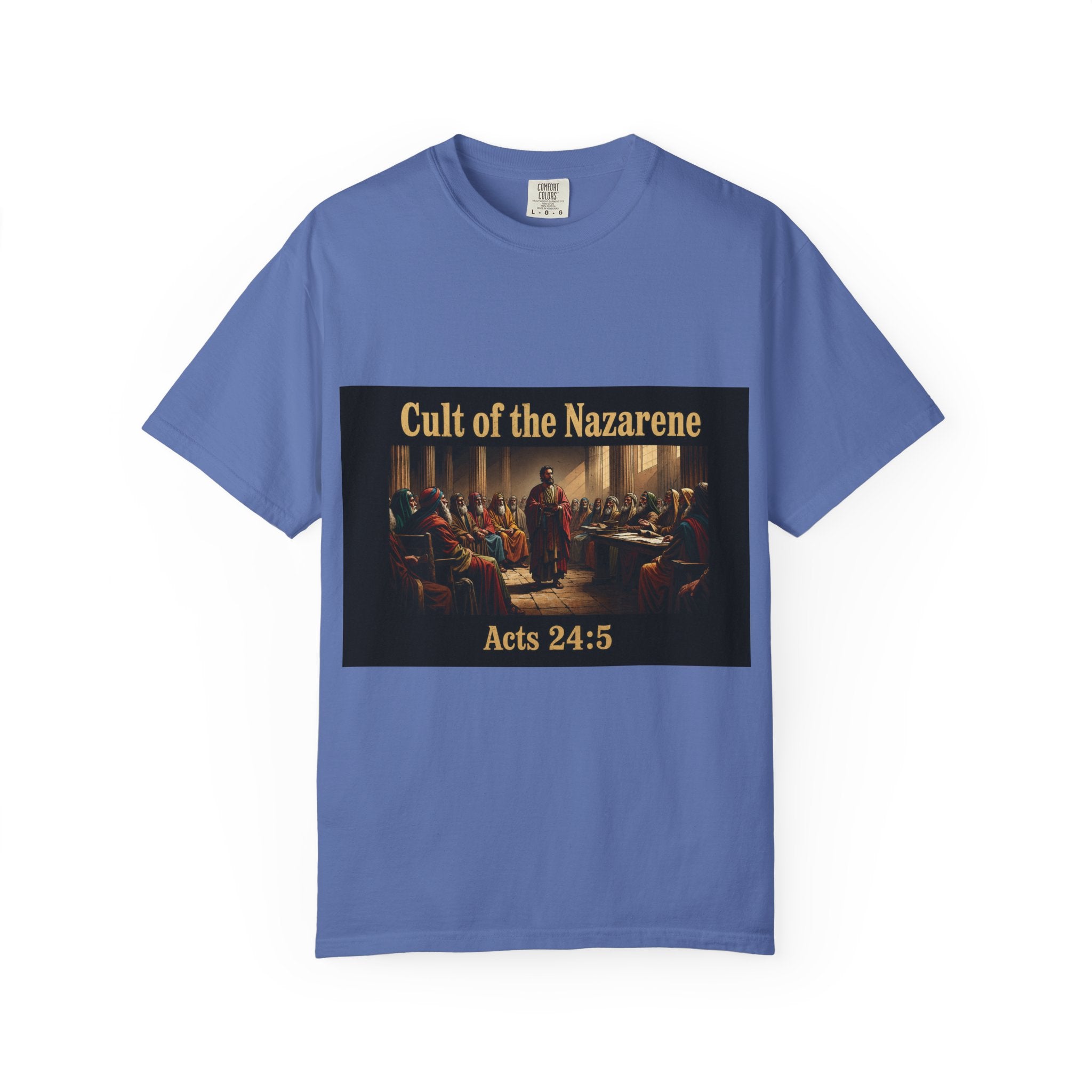 Acts 24:5 Unisex Comfort Dyed T-shirt