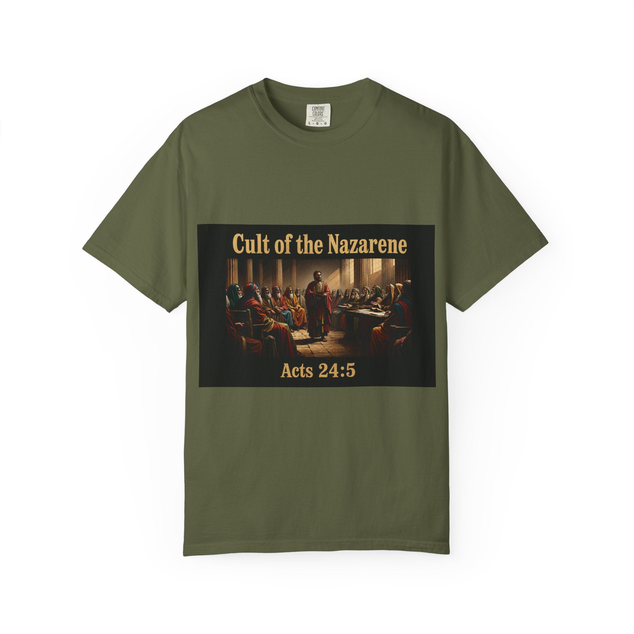 Acts 24:5 Unisex Comfort Dyed T-shirt