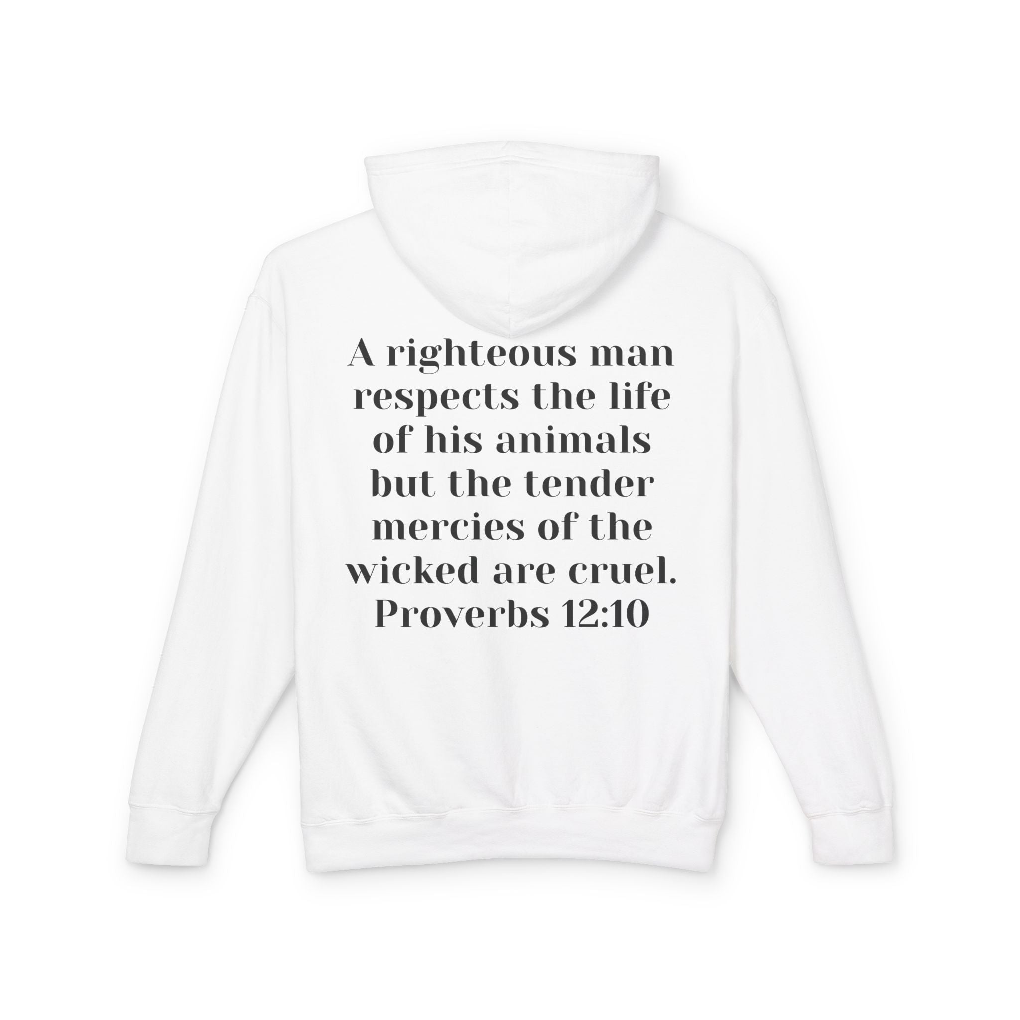 Cat Lover Jesus Follower Hoodie — Proverbs 12:10 Christian Pet cafe Sweatshirt