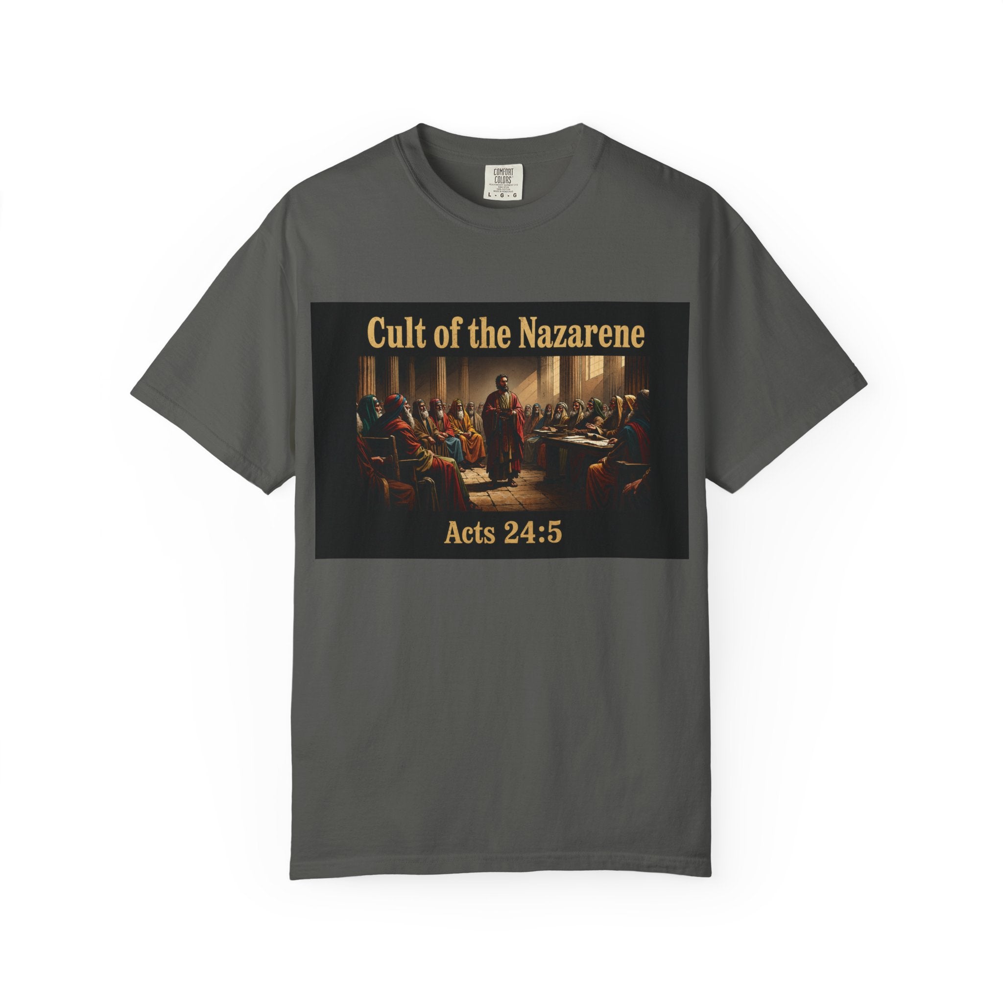 Acts 24:5 Unisex Comfort Dyed T-shirt