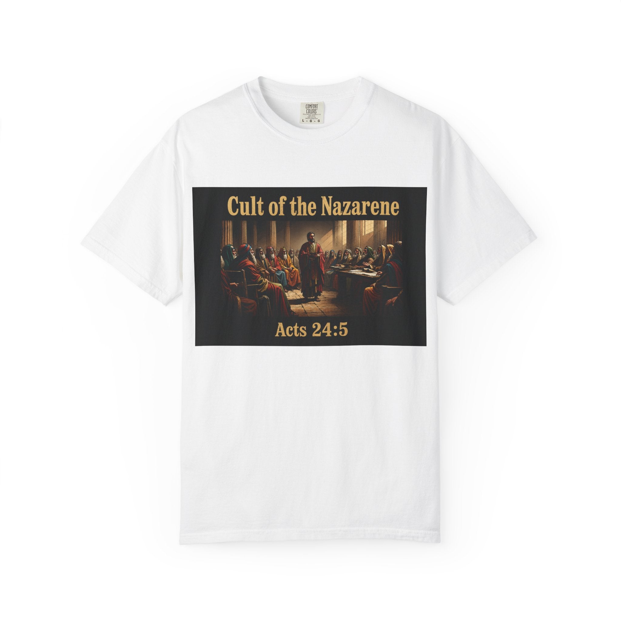 Acts 24:5 Unisex Comfort Dyed T-shirt