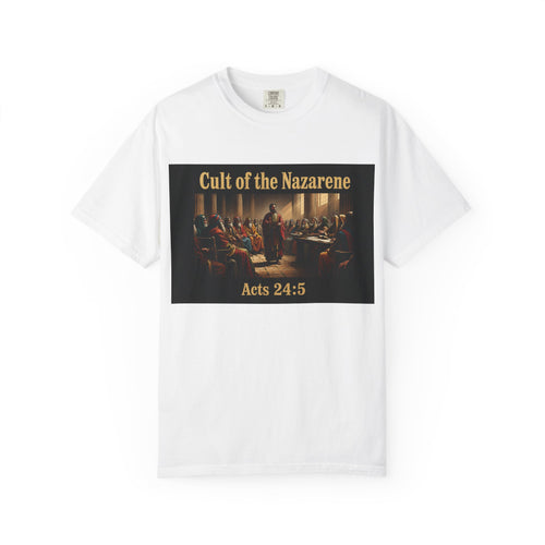 Acts 24:5 Unisex Comfort Dyed T-shirt