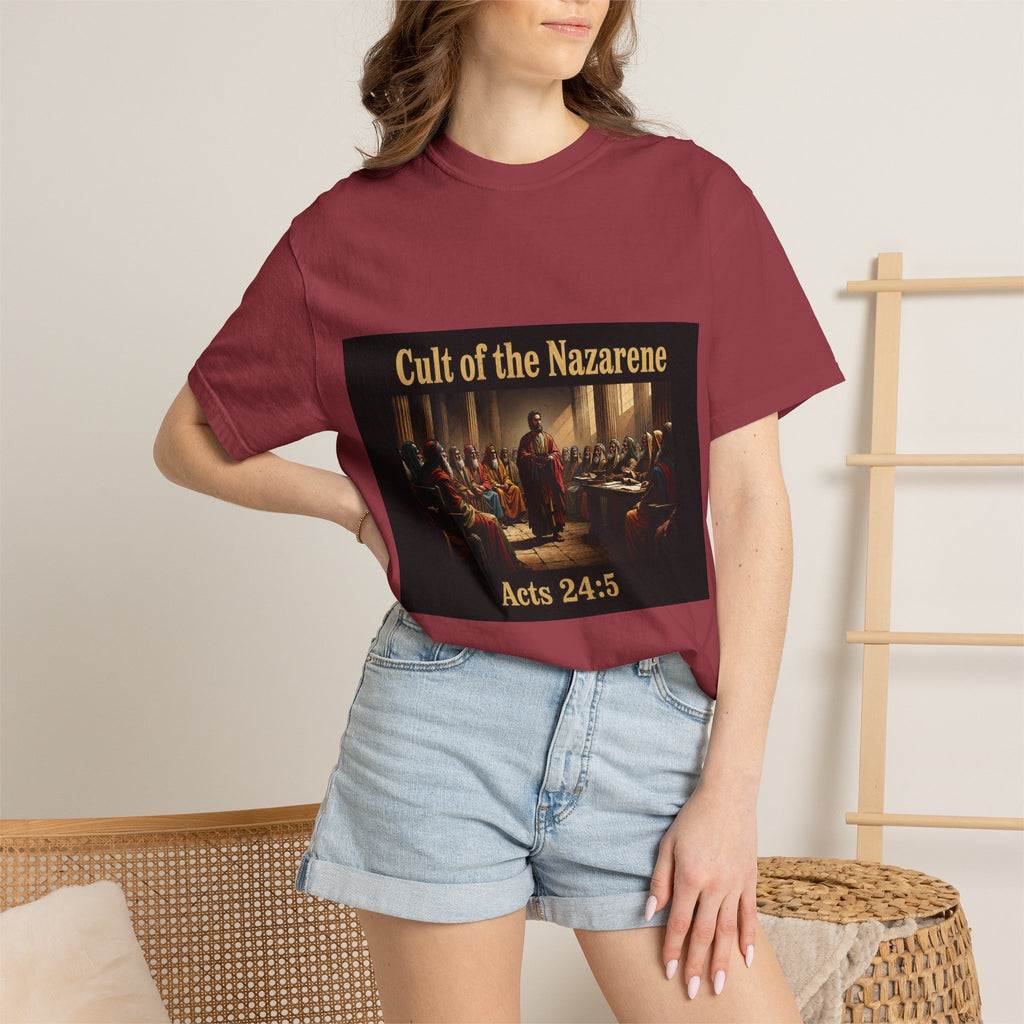 Acts 24:5 Unisex Comfort Dyed T-shirt